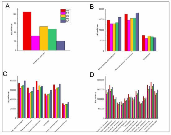 Biomolecules 09 00187 g0a2