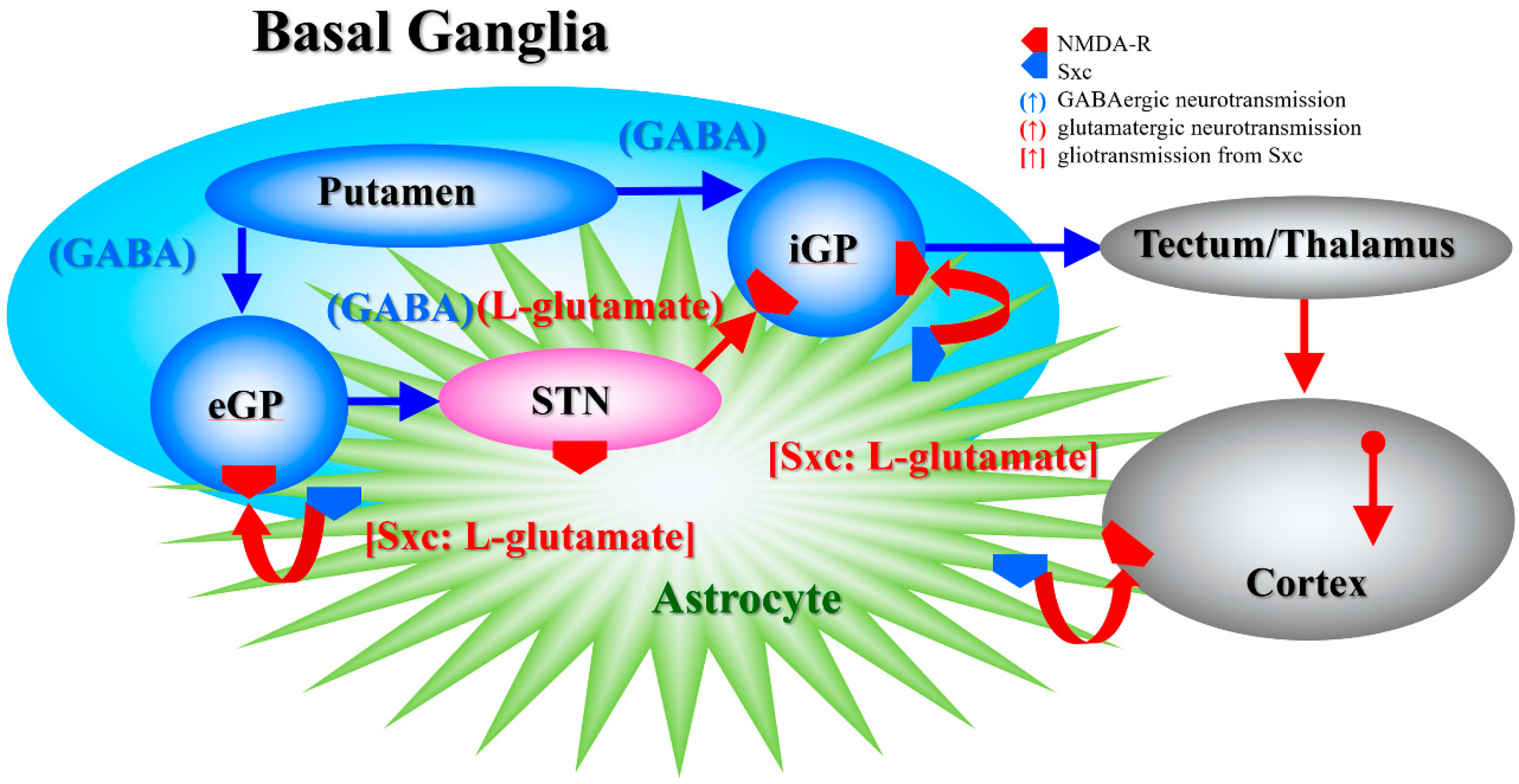 Biomolecules 09 00191 g007