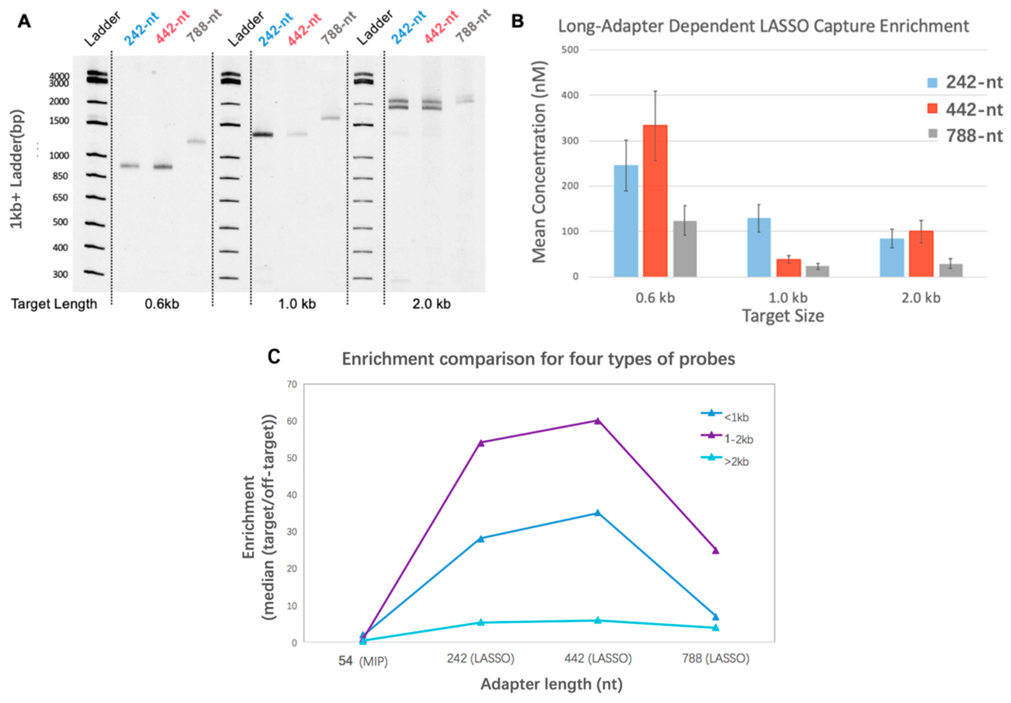 Biomolecules 09 00199 g002