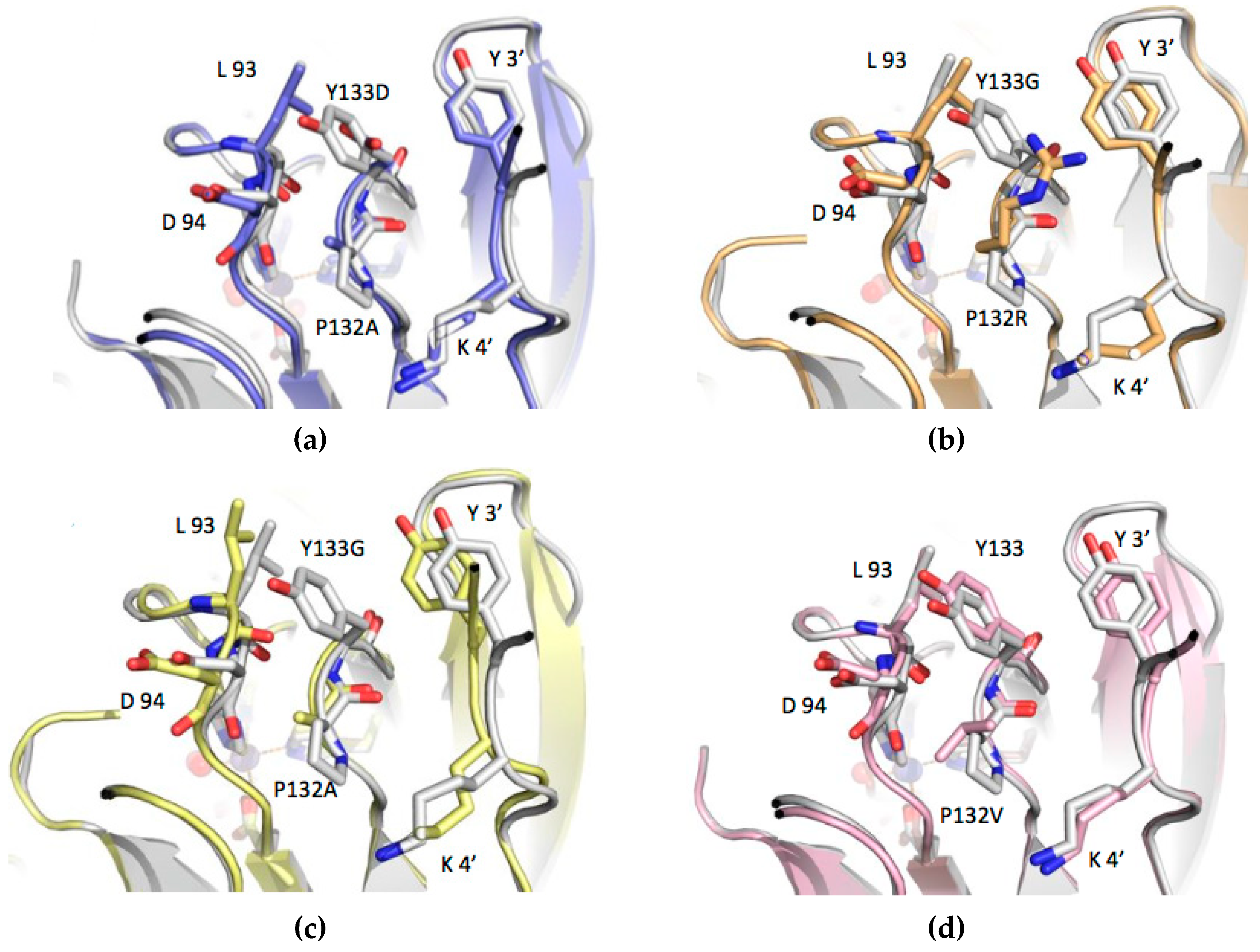 Biomolecules 09 00212 g004