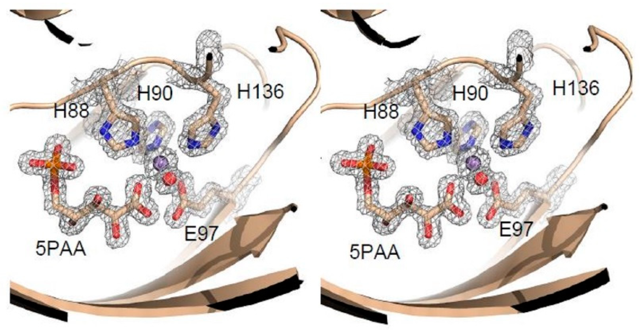 Biomolecules 09 00212 g005