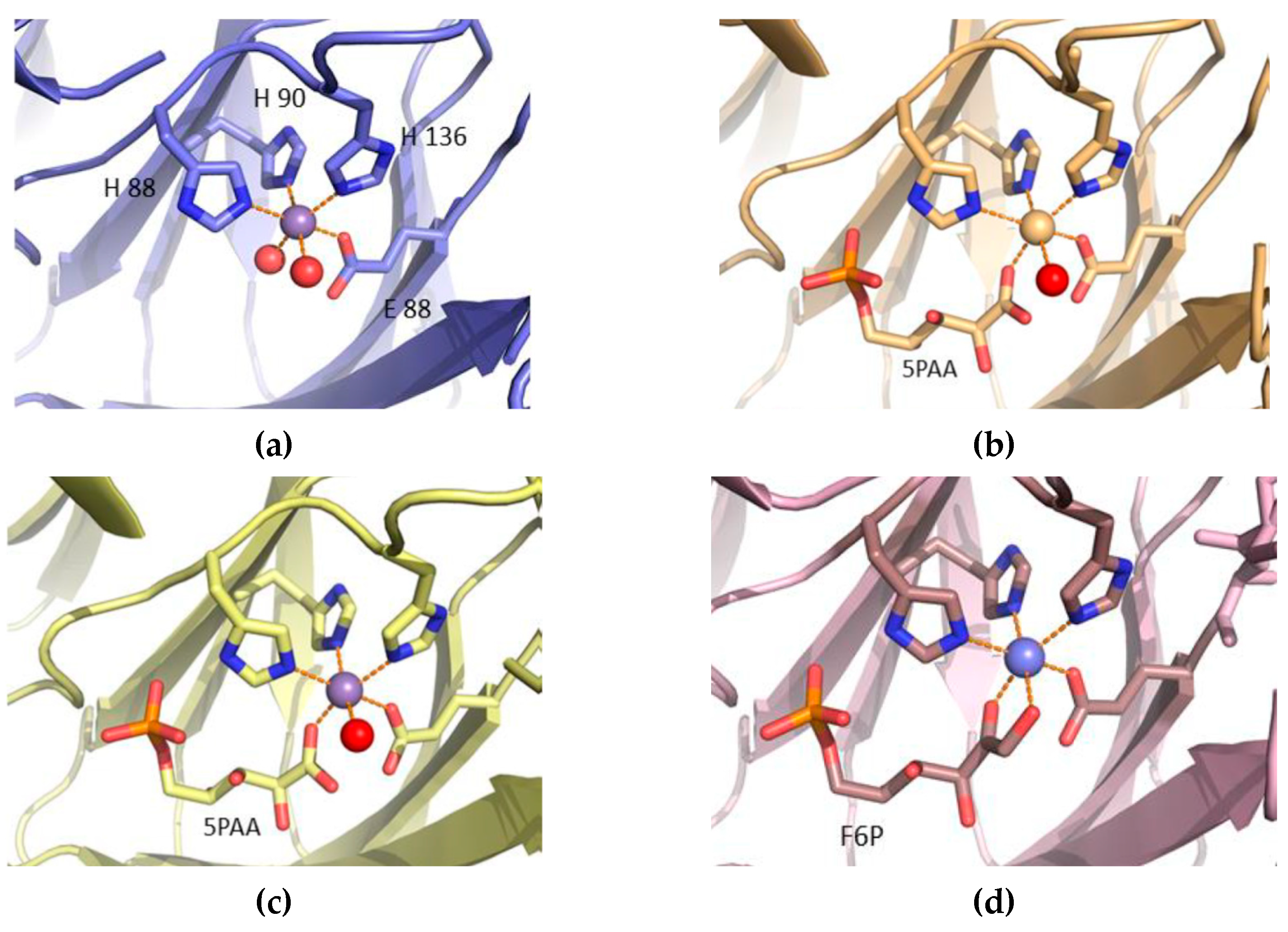 Biomolecules 09 00212 g006