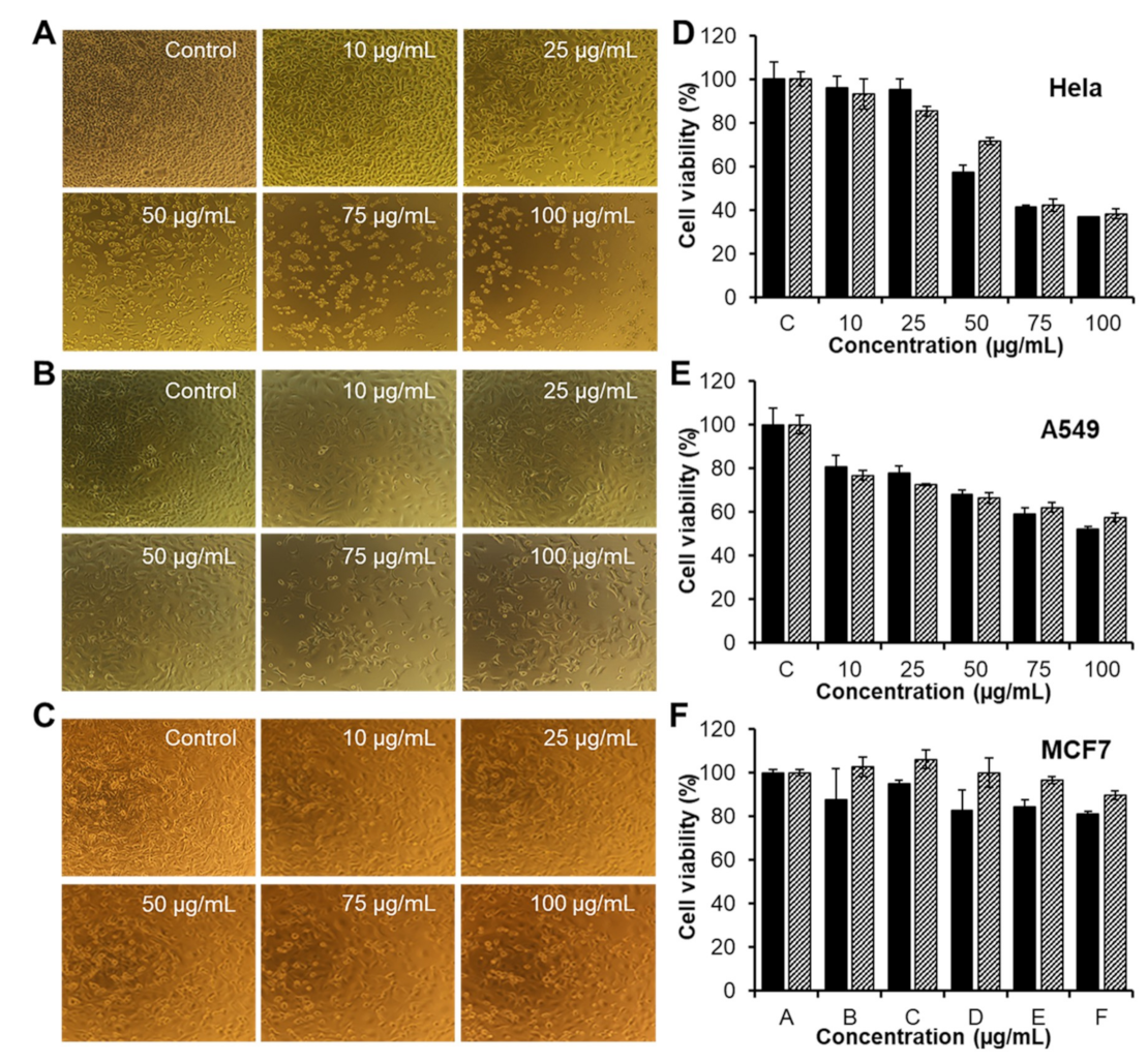 Biomolecules 09 00214 g008