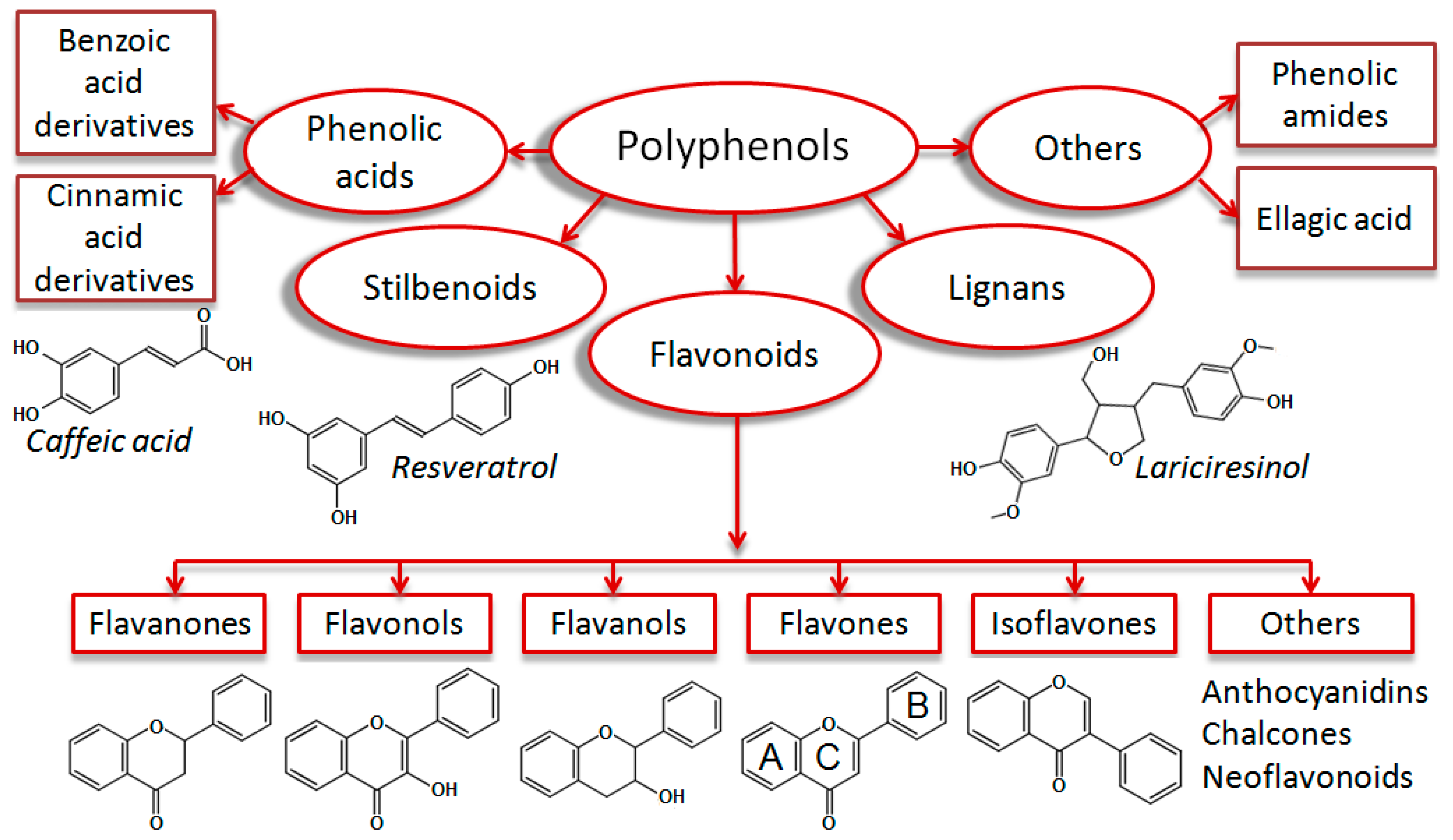 Biomolecules 09 00219 g001 Biomolecules 09 00219 g001