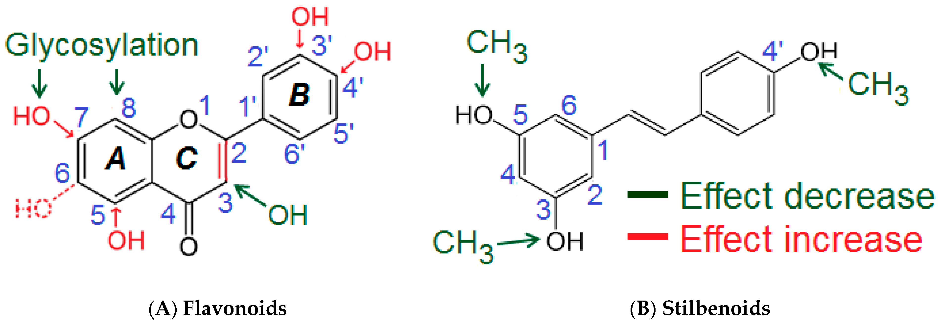 Biomolecules 09 00219 g004 Biomolecules 09 00219 g004
