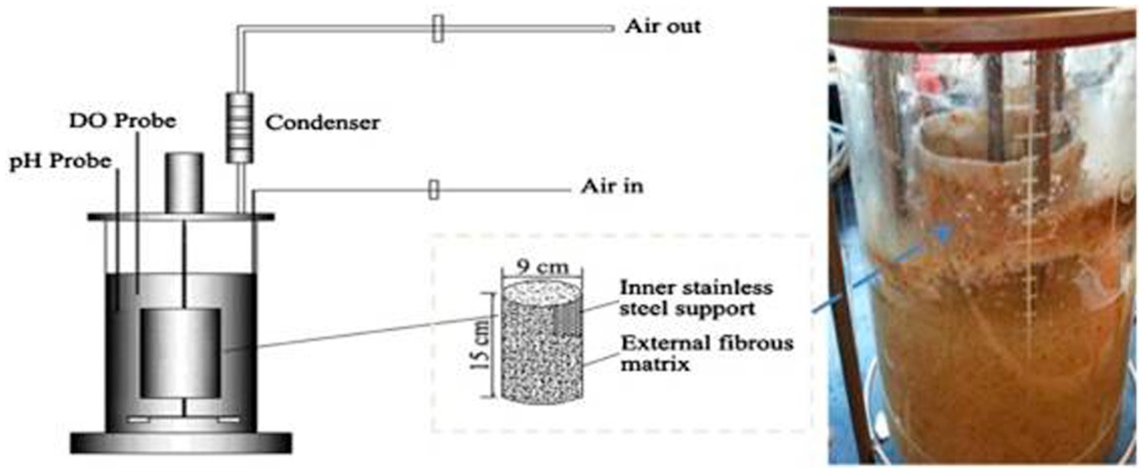 Biomolecules 09 00220 g001 Biomolecules 09 00220 g001