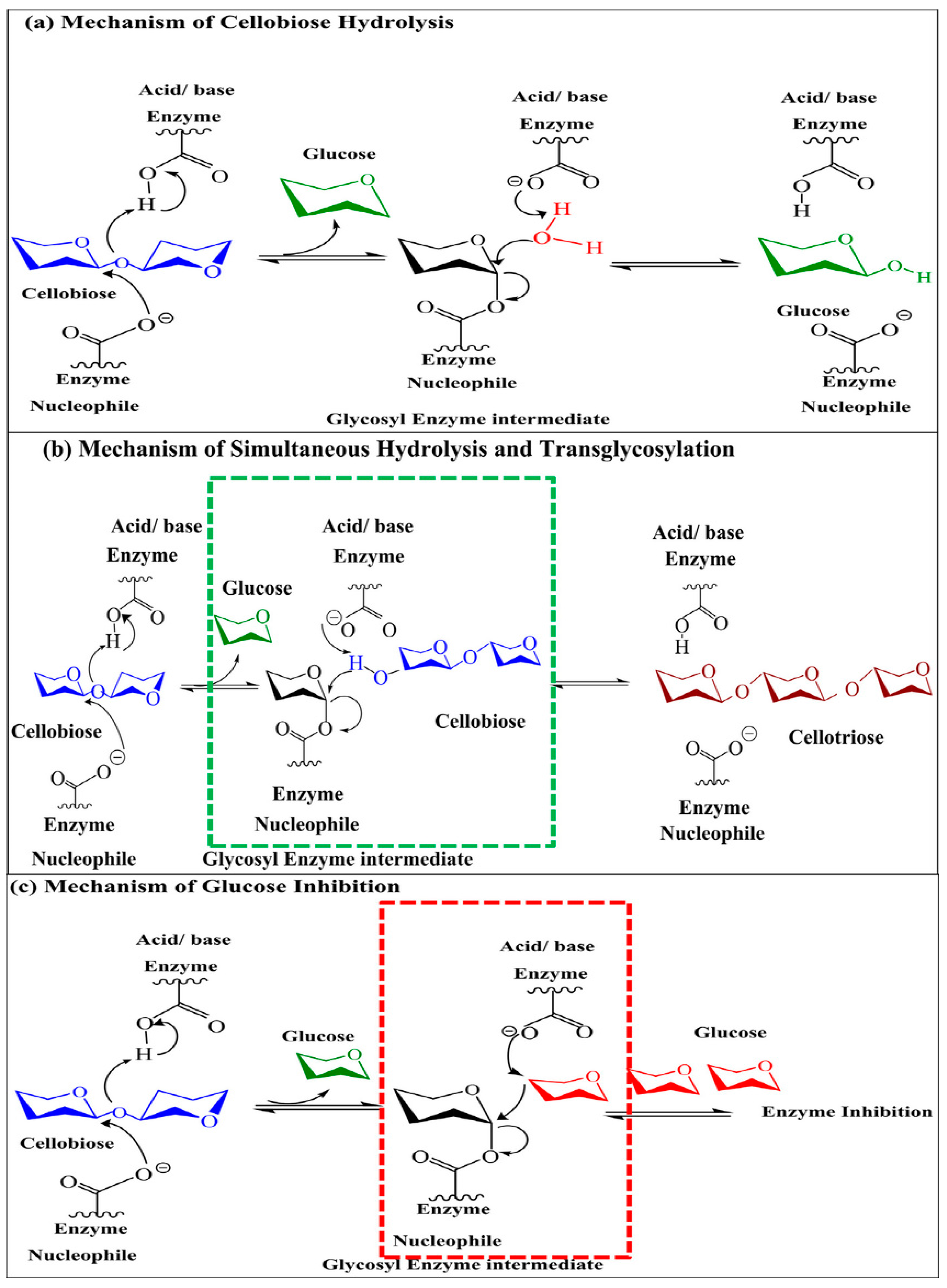 Biomolecules 09 00220 g003 Biomolecules 09 00220 g003