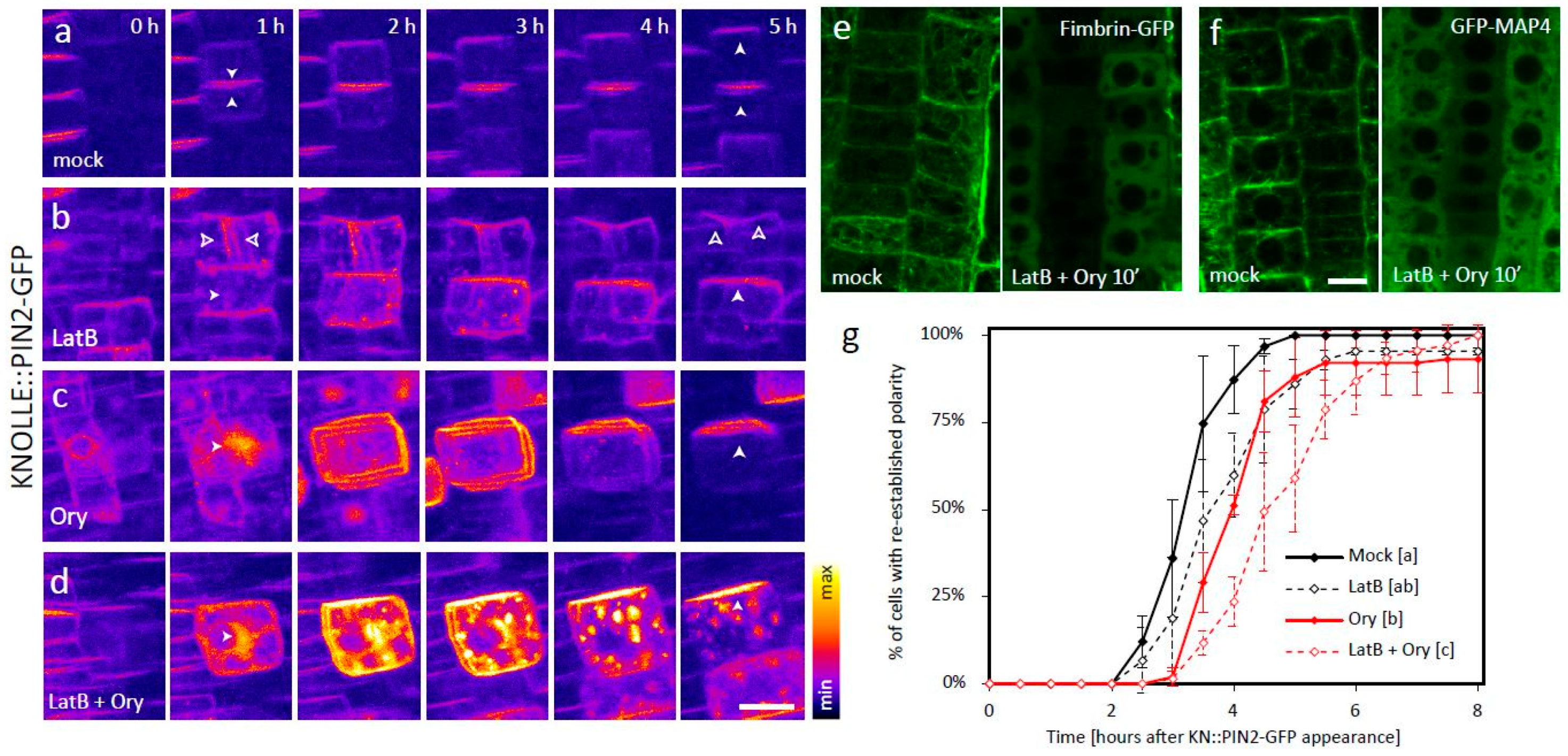 Biomolecules 09 00222 g001