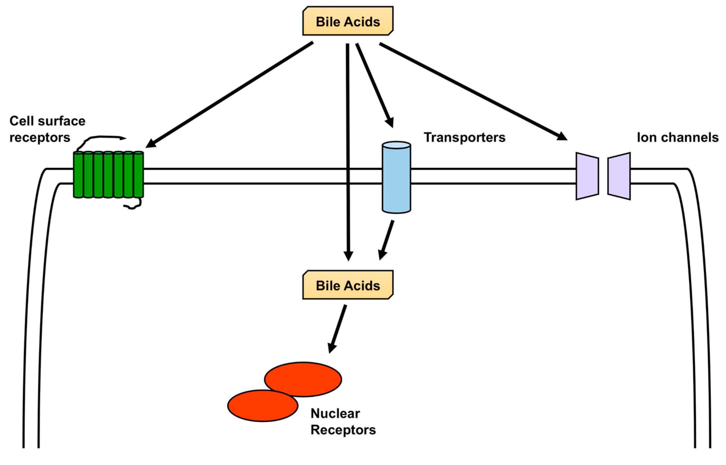 Biomolecules 09 00232 g003