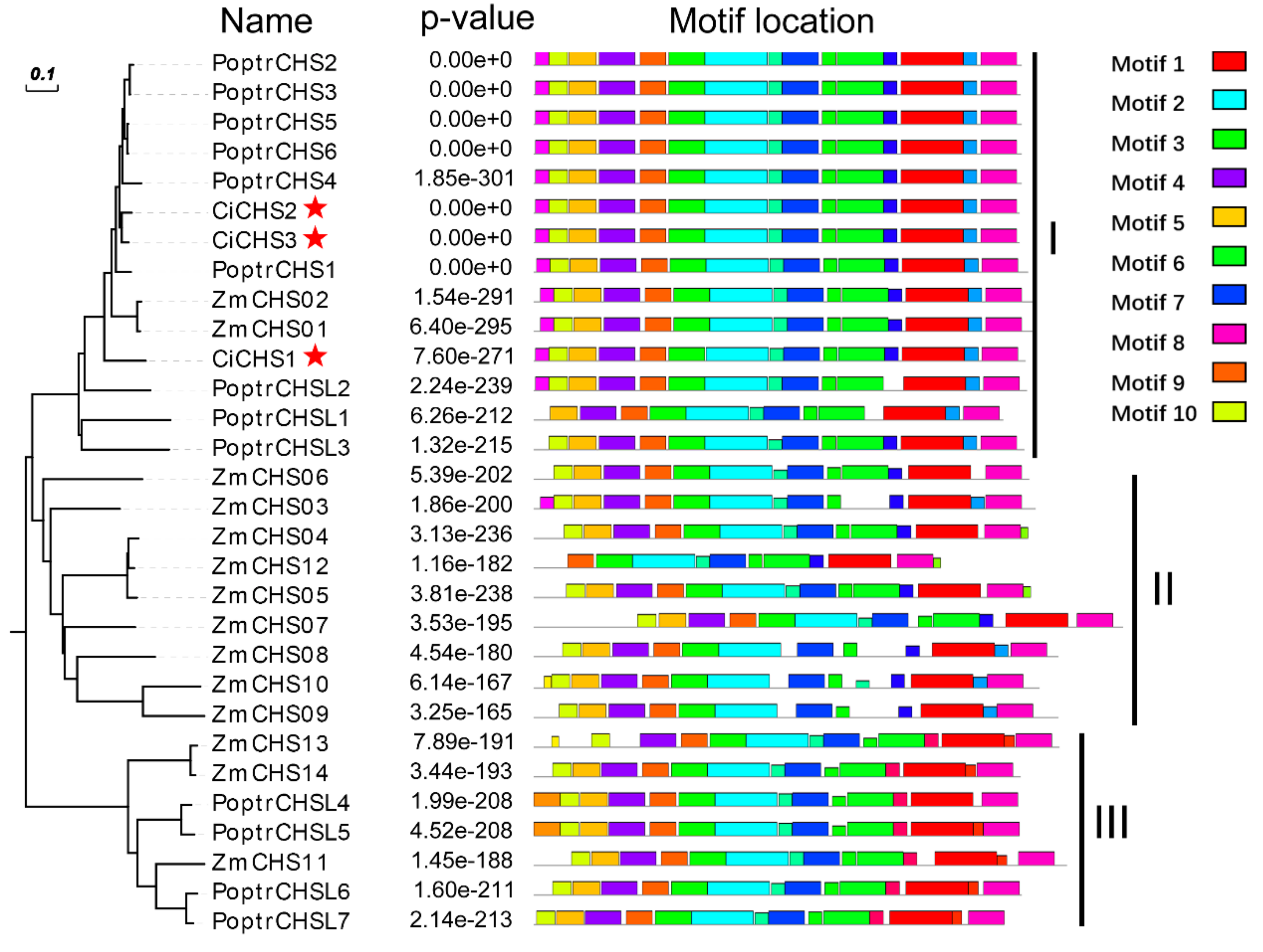 Biomolecules 09 00236 g002