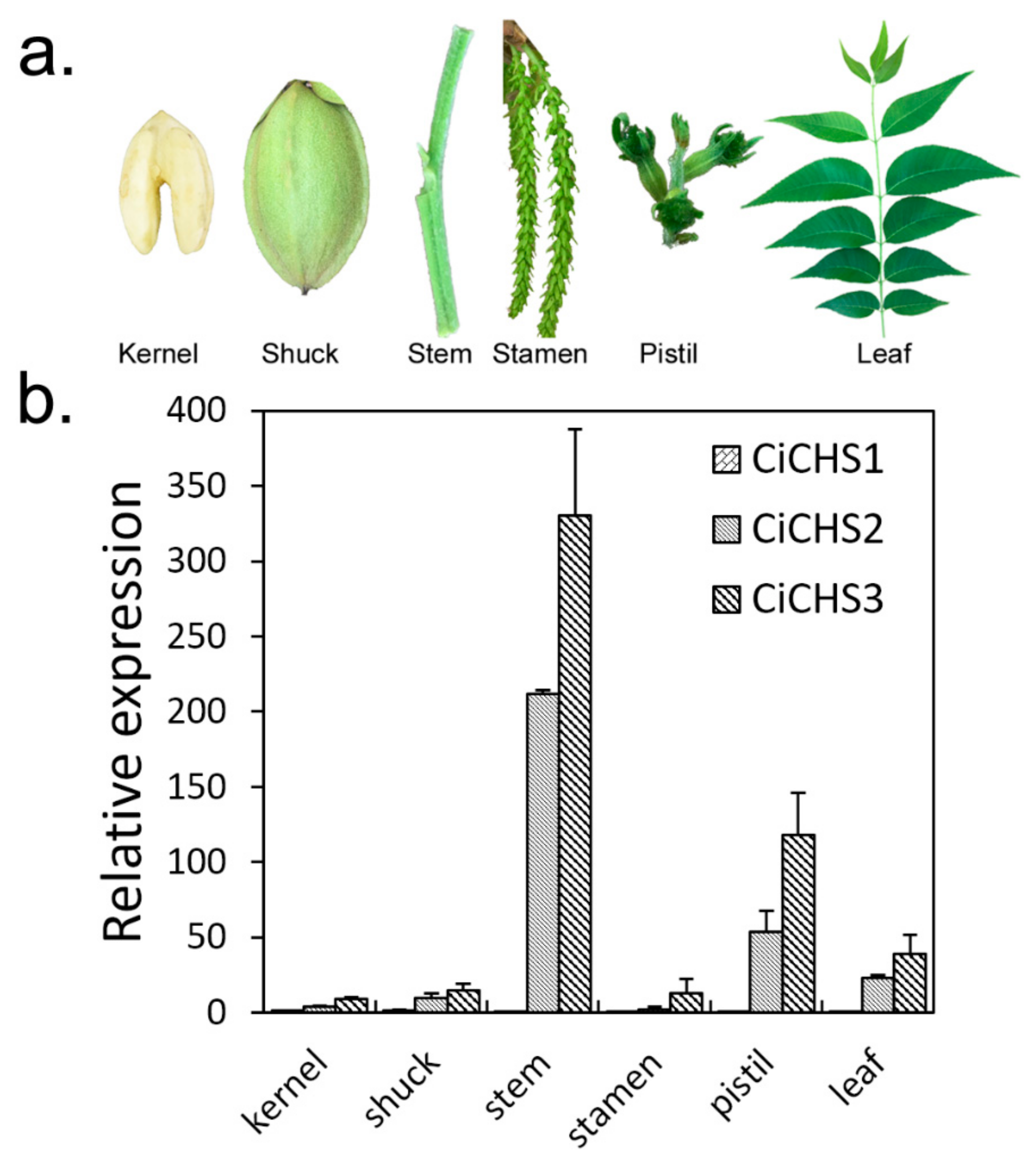 Biomolecules 09 00236 g004