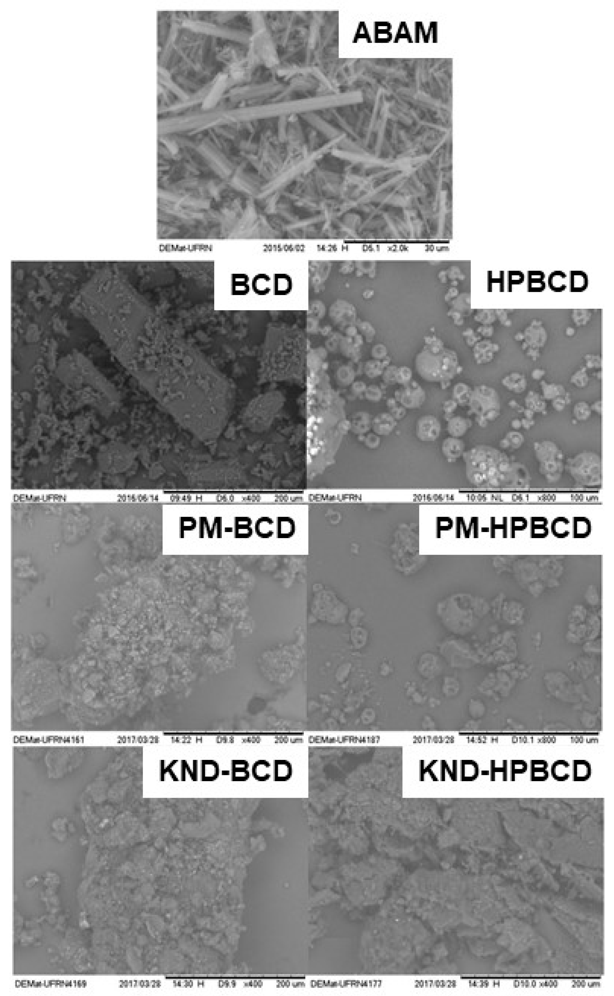 Biomolecules 09 00241 g002 Biomolecules 09 00241 g002