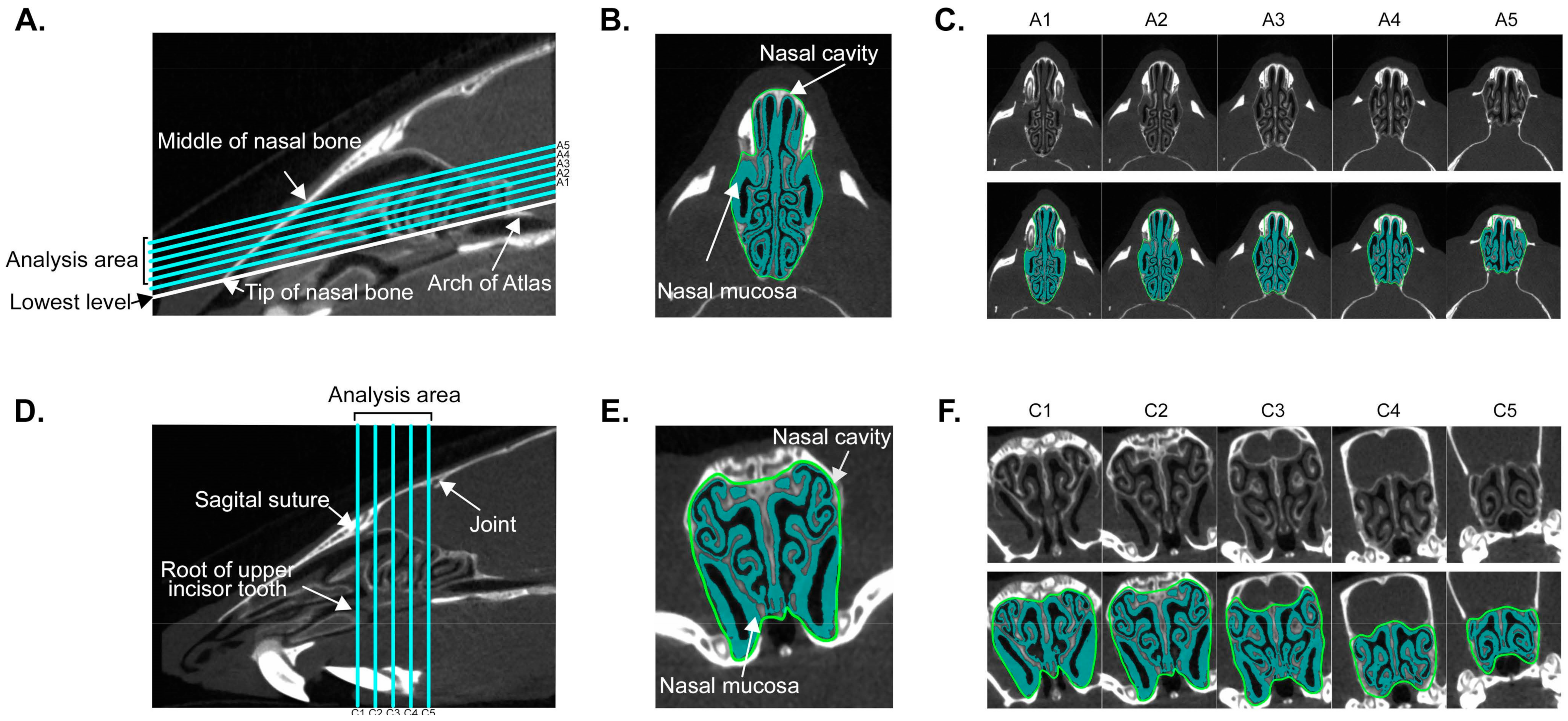 Biomolecules 09 00252 g001 Biomolecules 09 00252 g001