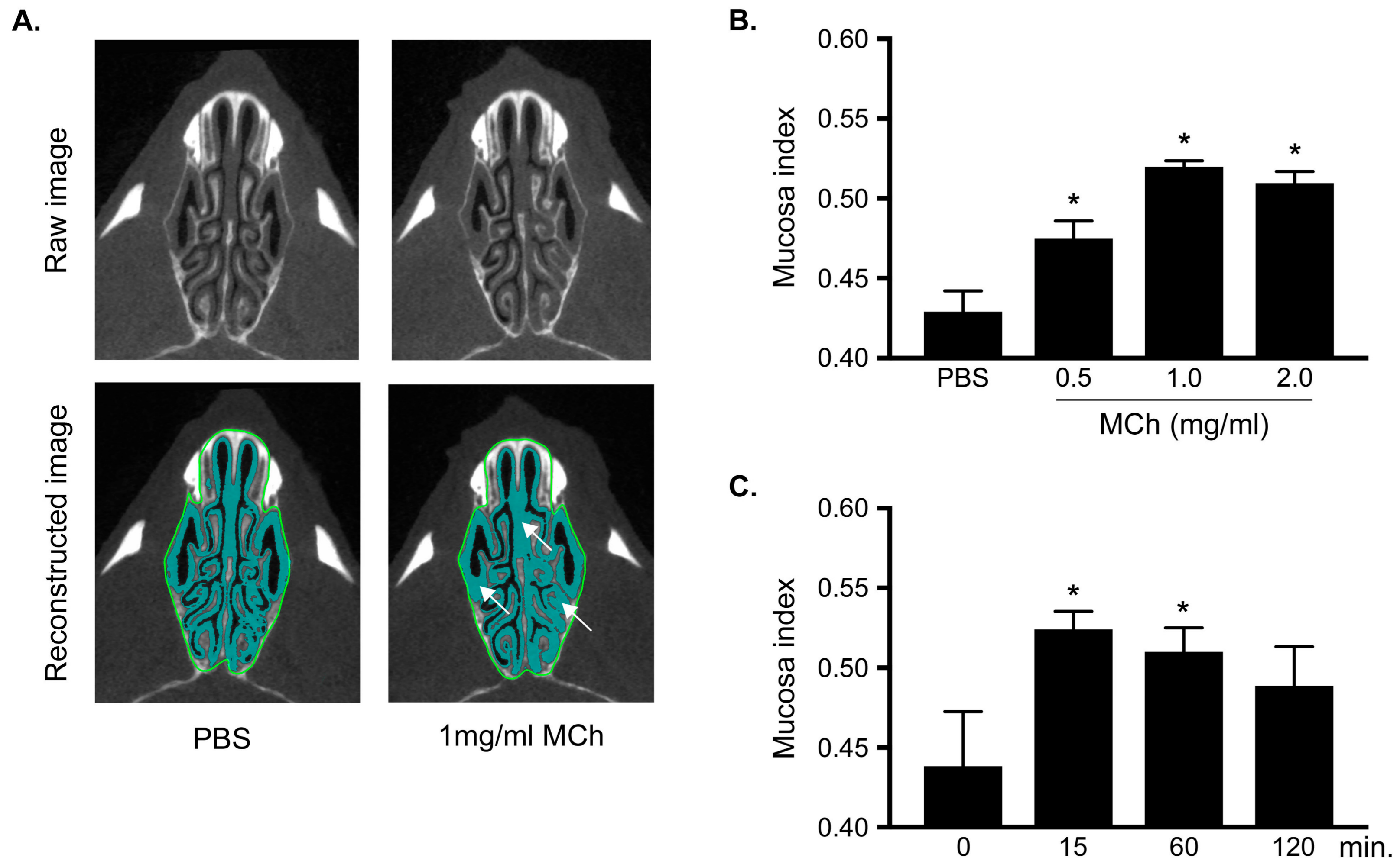Biomolecules 09 00252 g002 Biomolecules 09 00252 g002