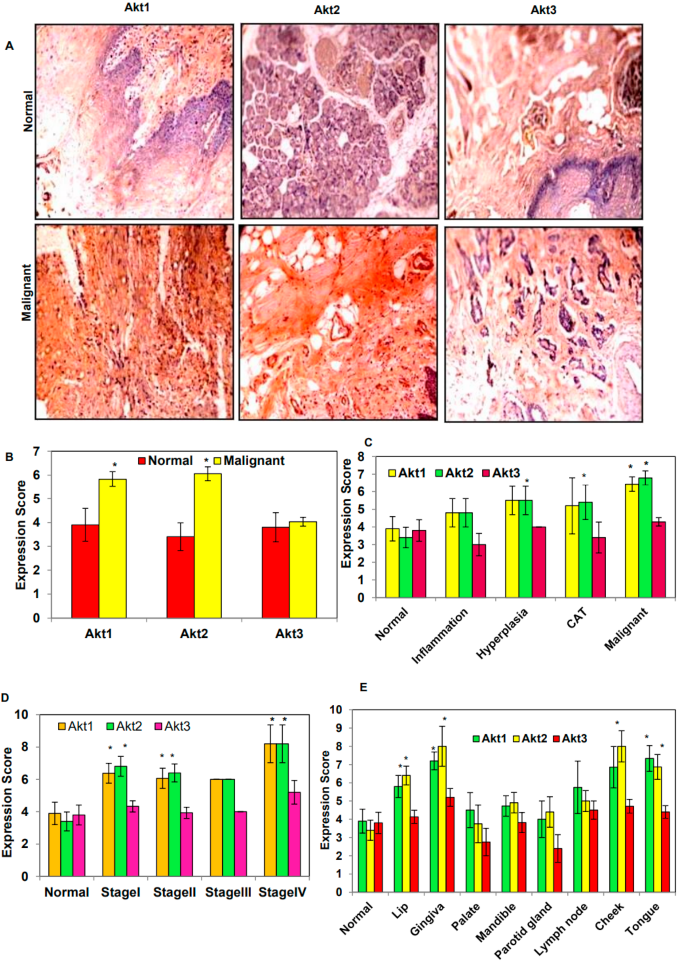 Biomolecules 09 00253 g001