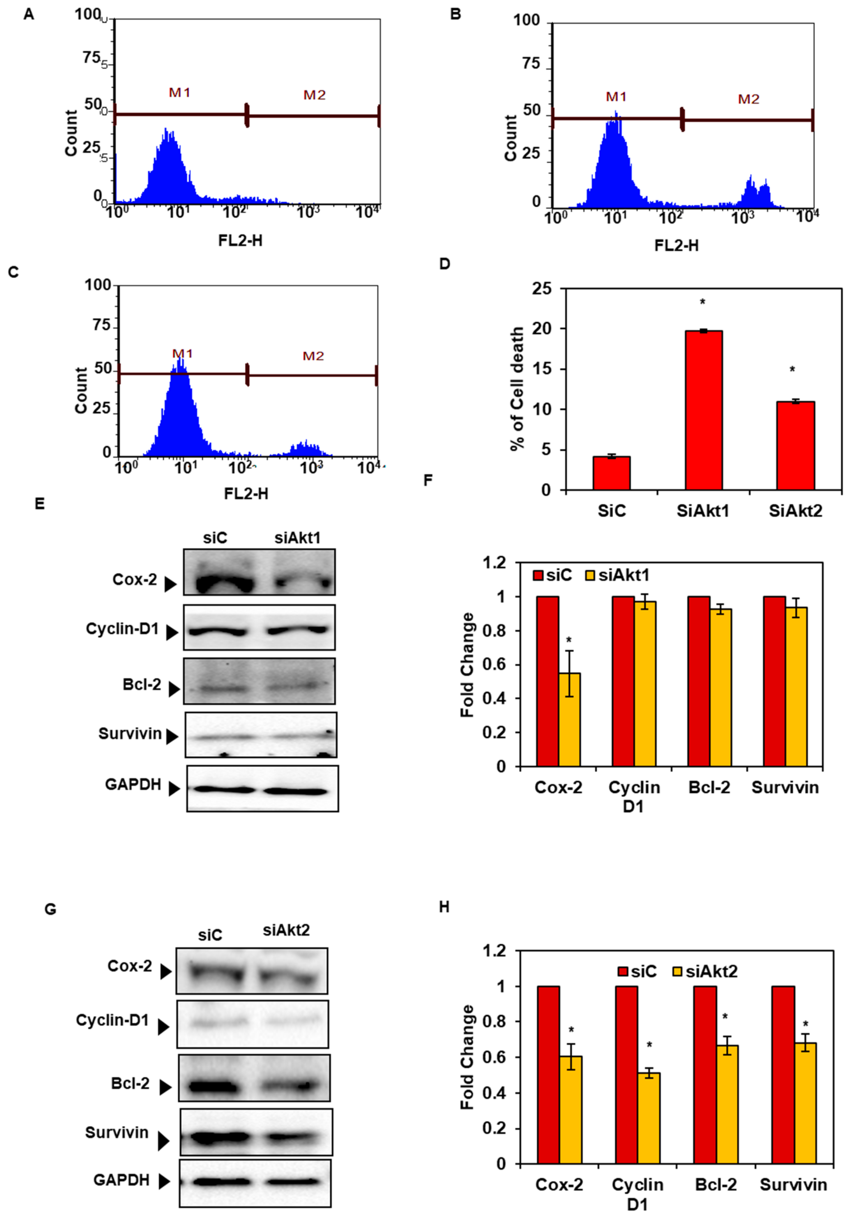 Biomolecules 09 00253 g007