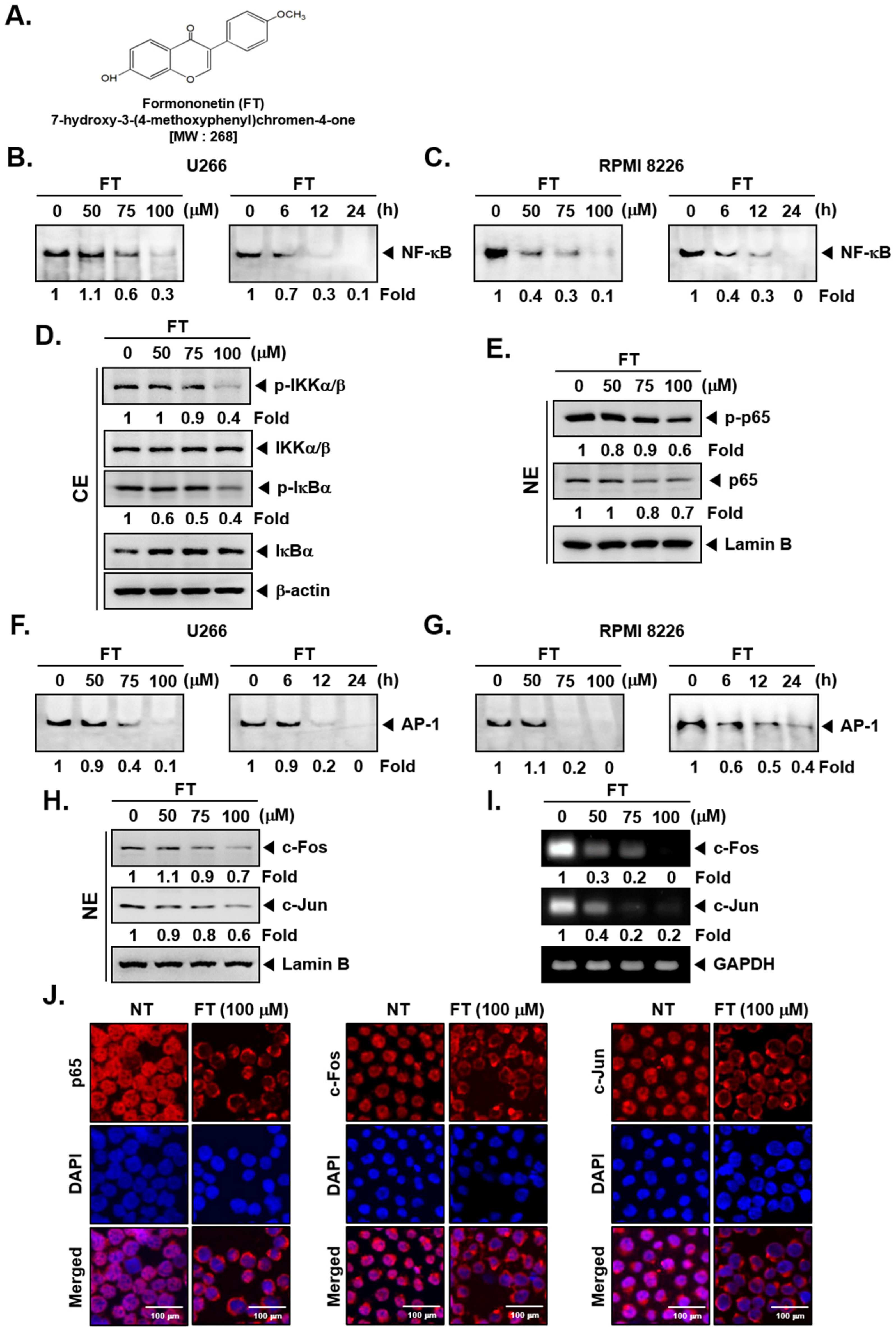 Biomolecules 09 00262 g001