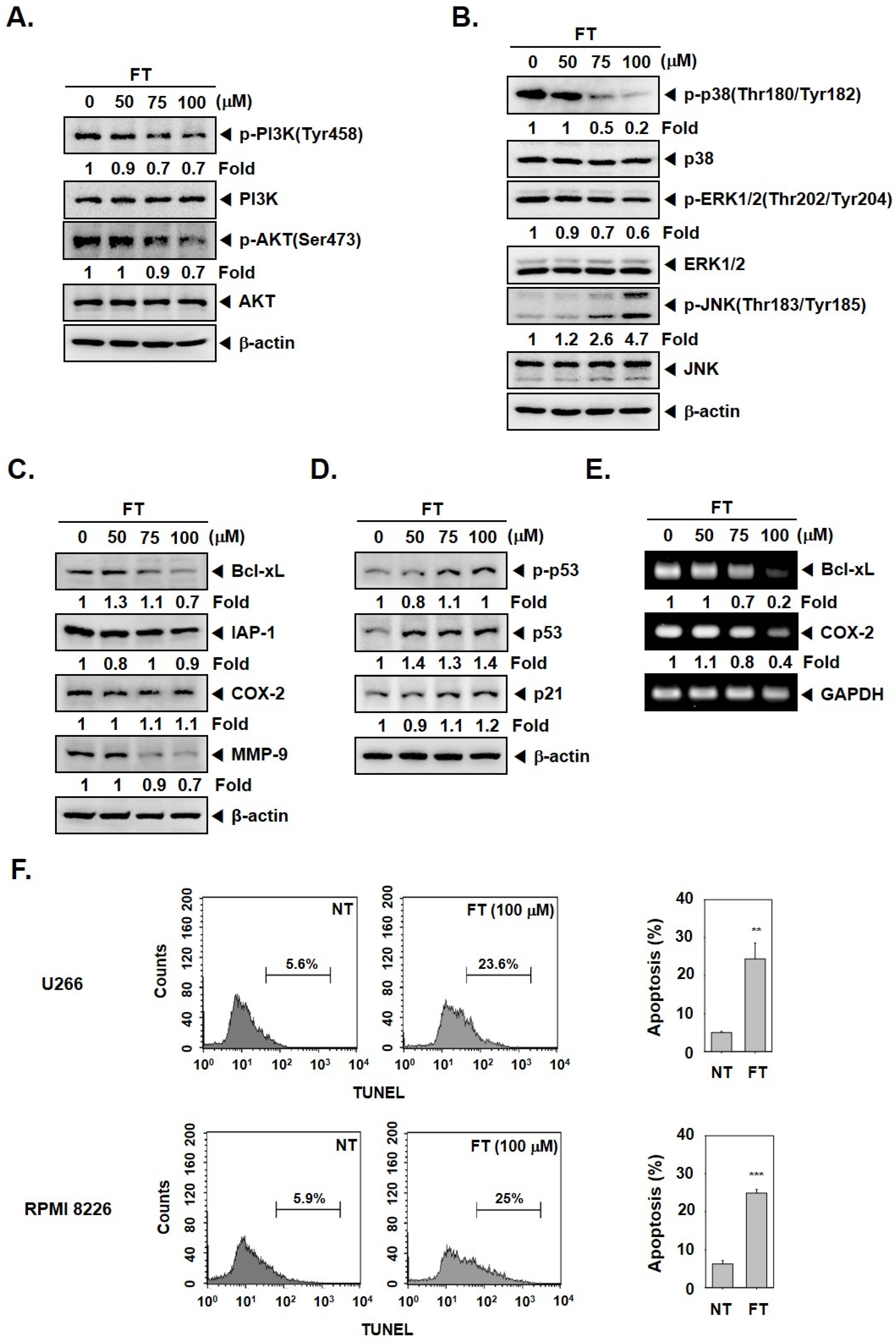 Biomolecules 09 00262 g002