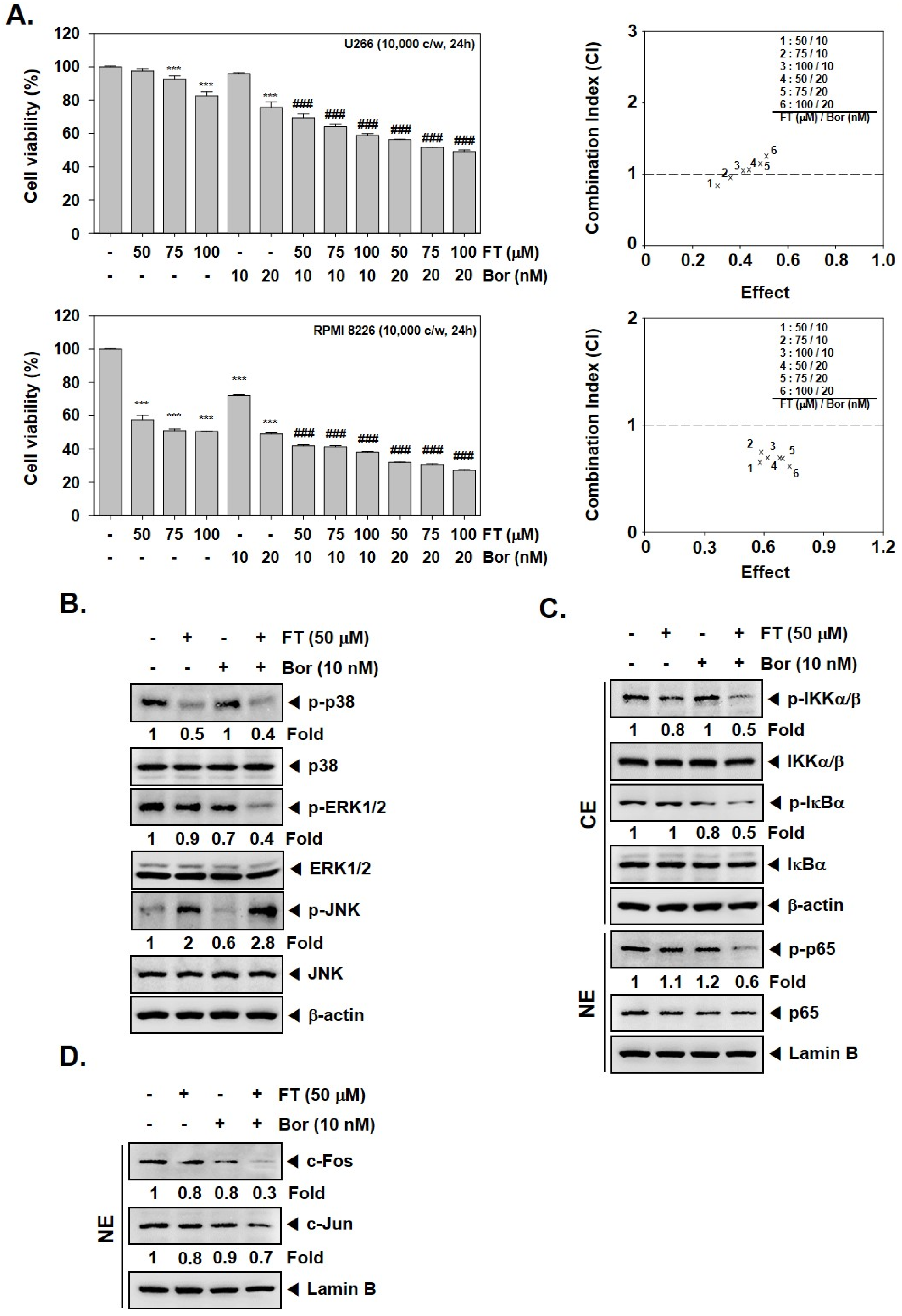 Biomolecules 09 00262 g003
