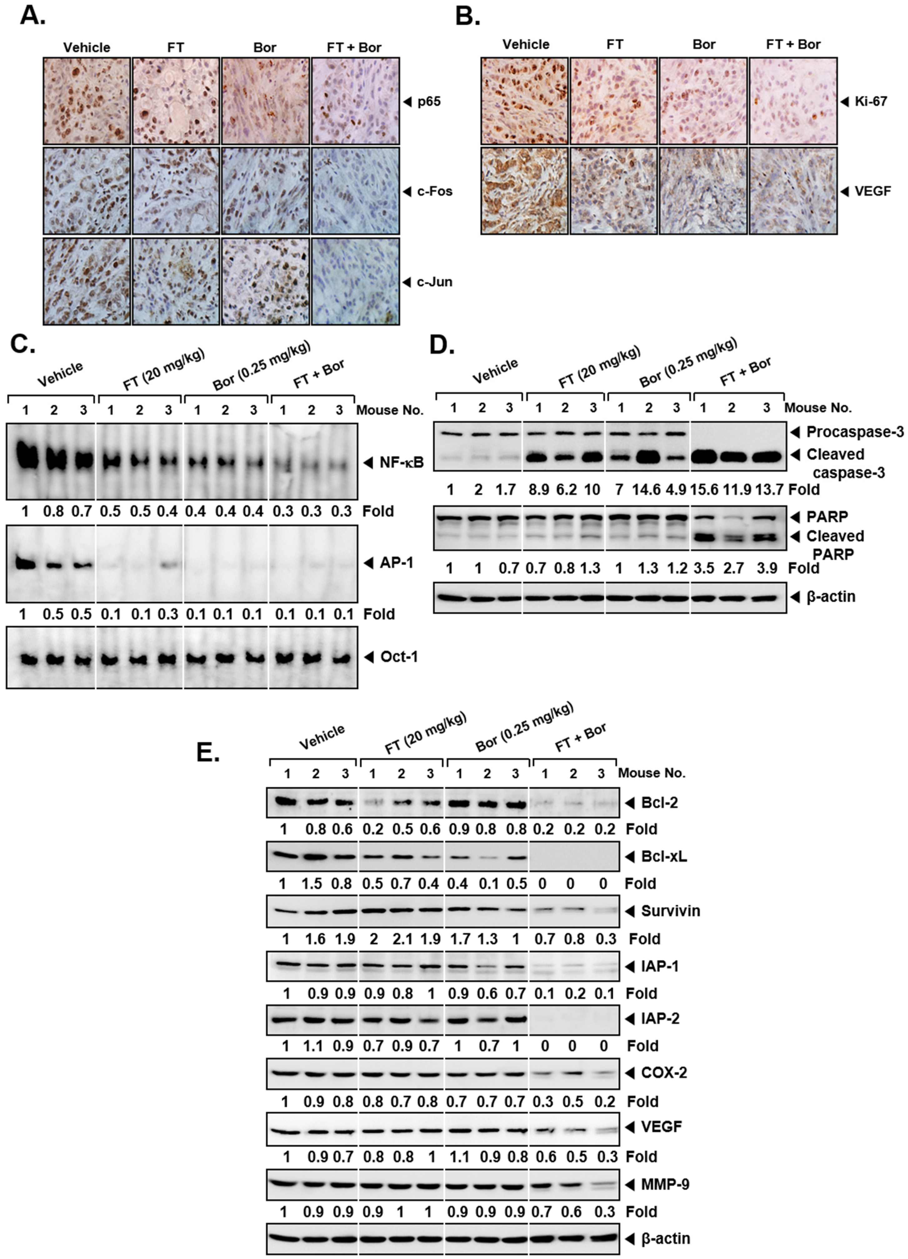 Biomolecules 09 00262 g006