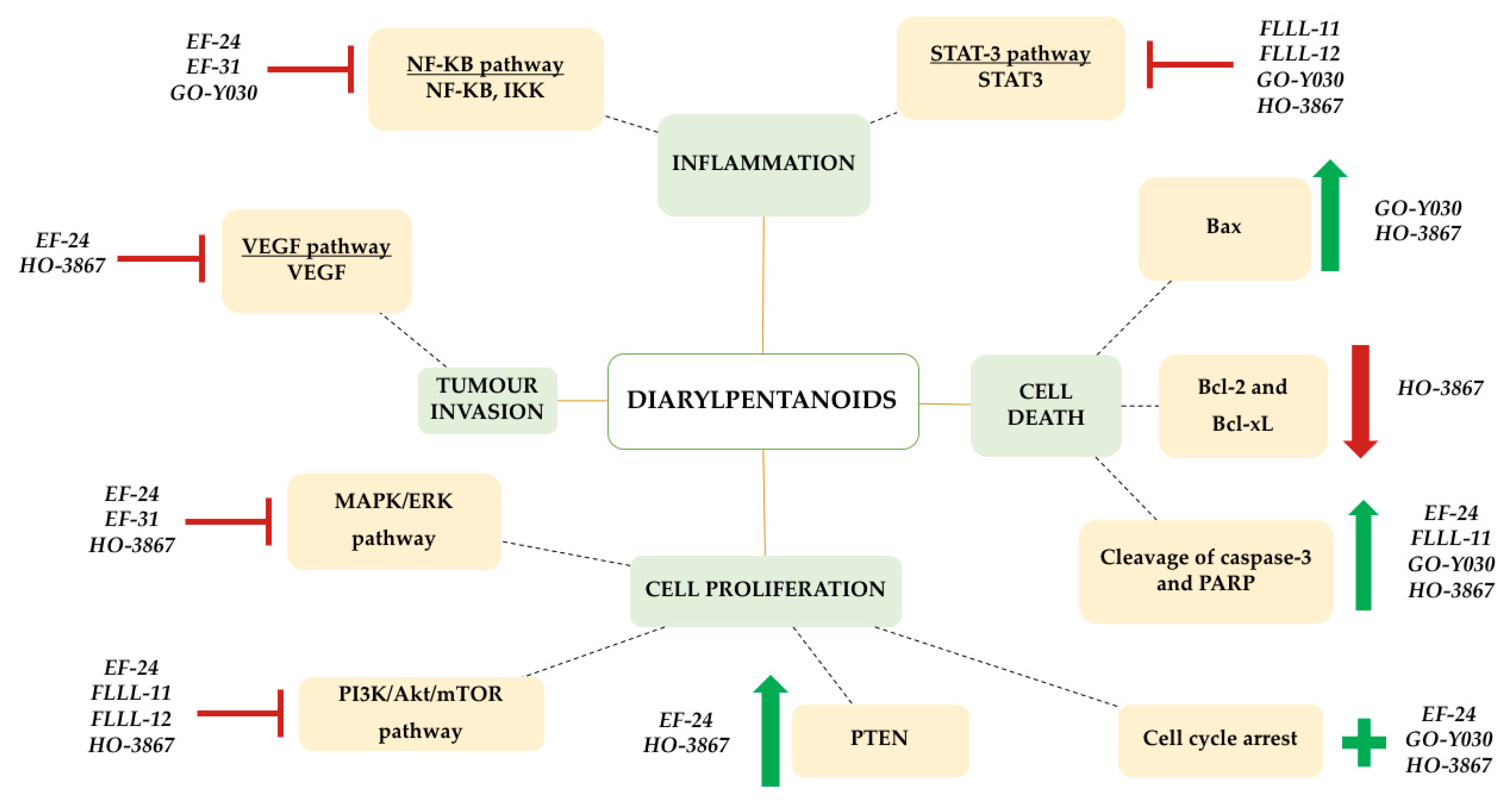 Biomolecules 09 00270 g002 Biomolecules 09 00270 g002