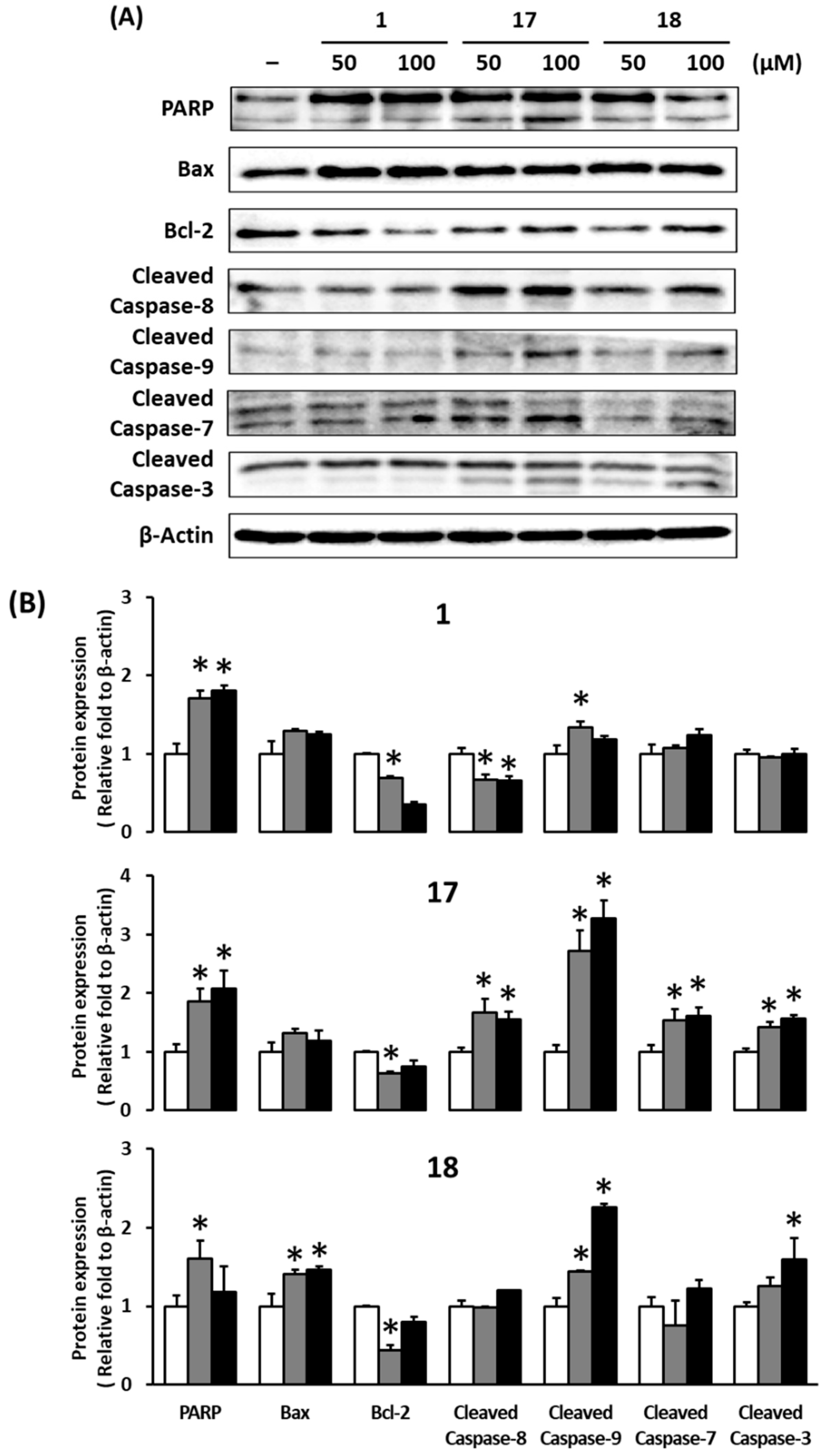 Biomolecules 09 00272 g005