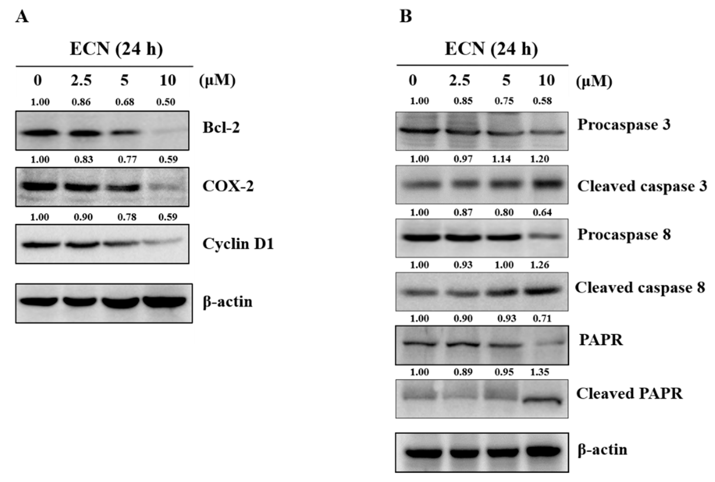 Biomolecules 09 00278 g005