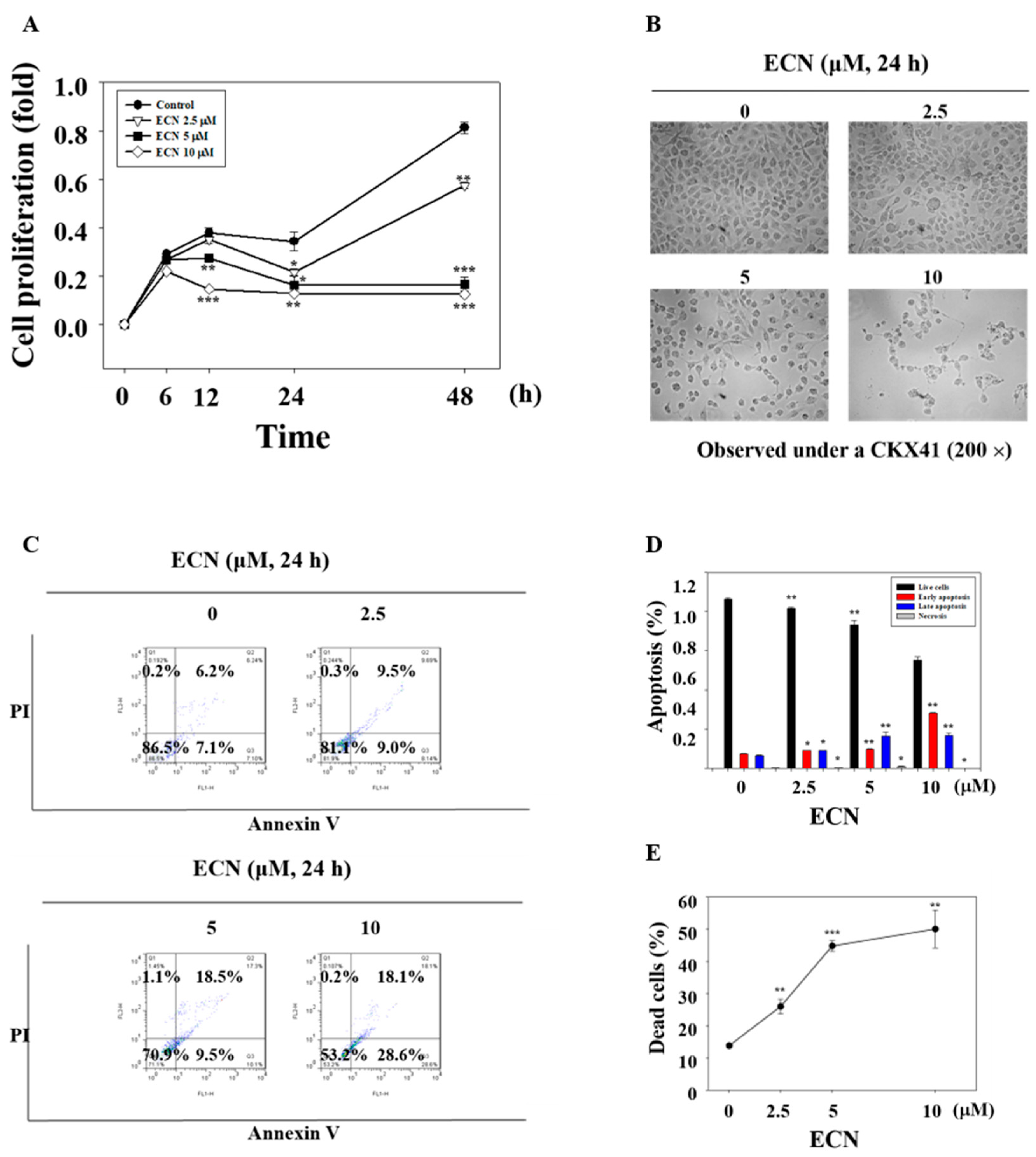 Biomolecules 09 00278 g006
