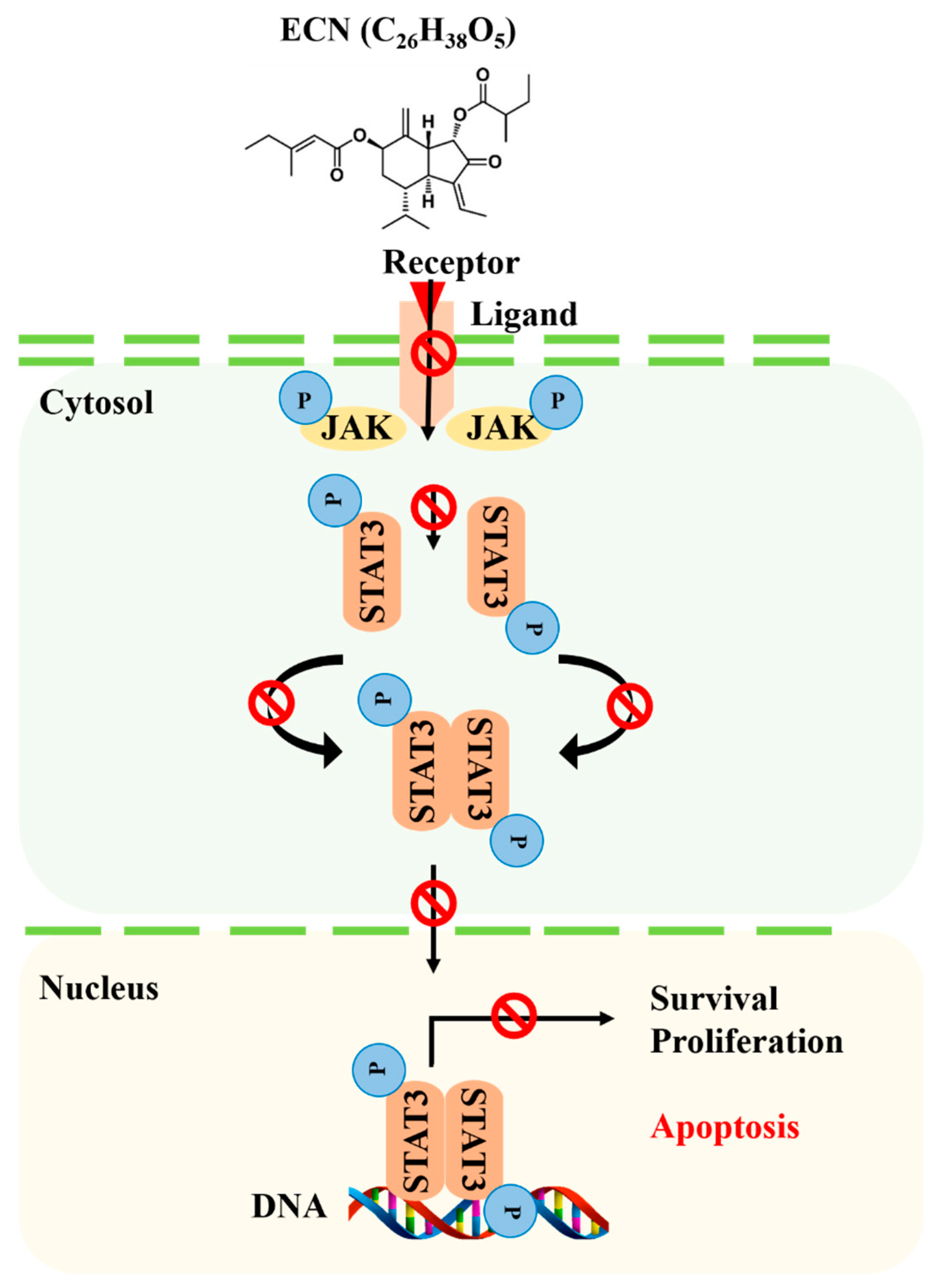 Biomolecules 09 00278 g008