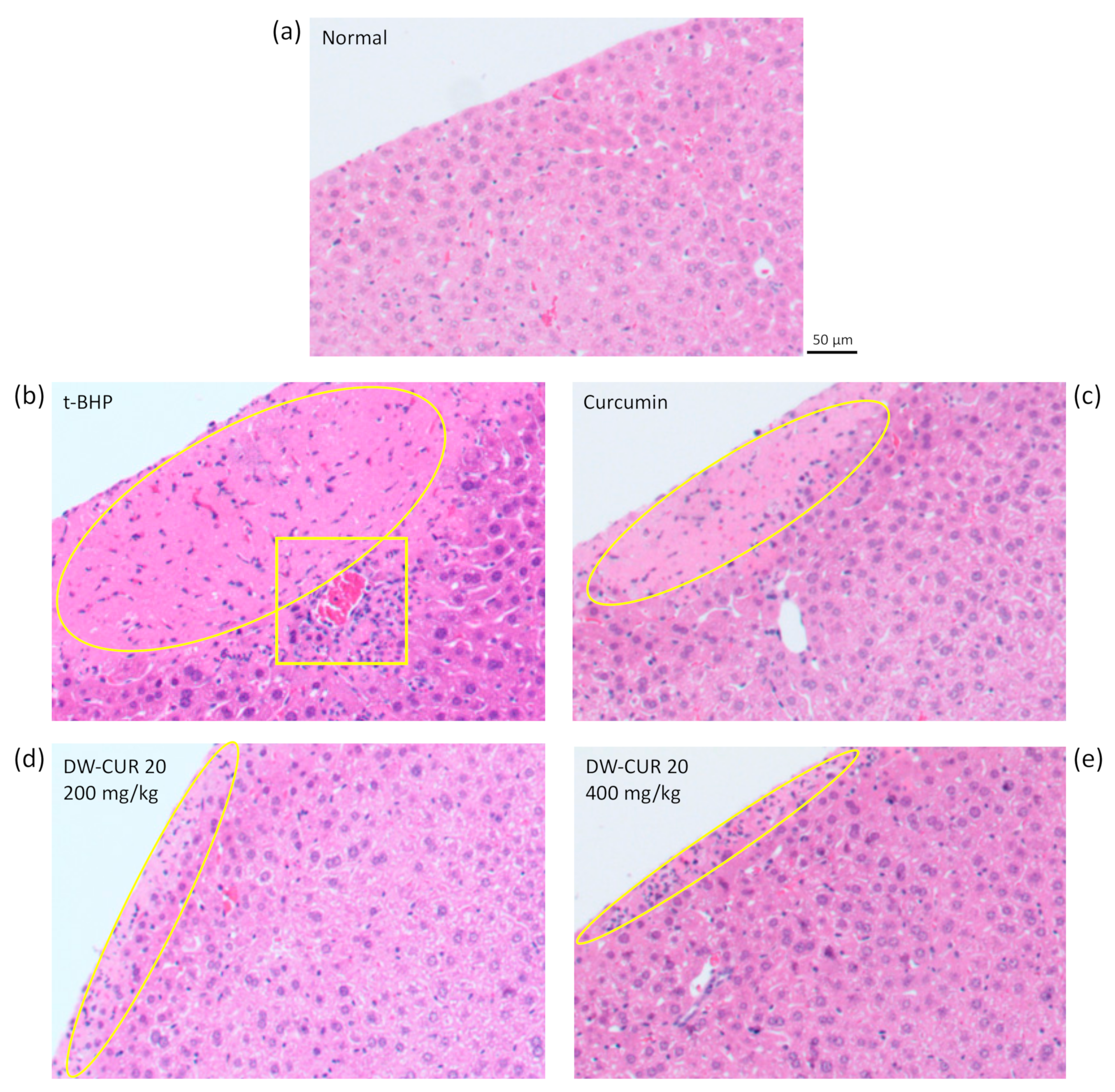 Biomolecules 09 00281 g008