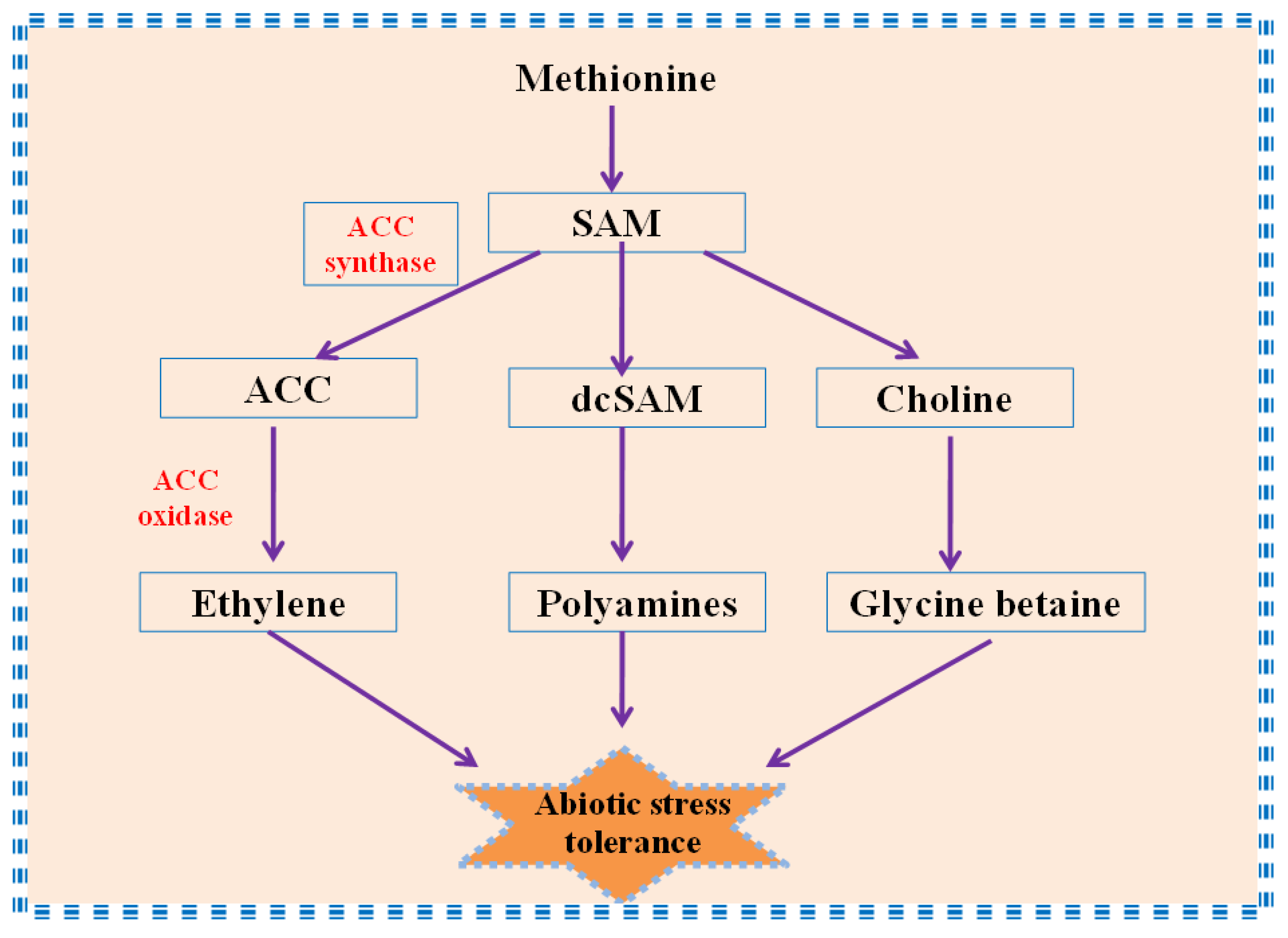 Biomolecules 09 00285 g003