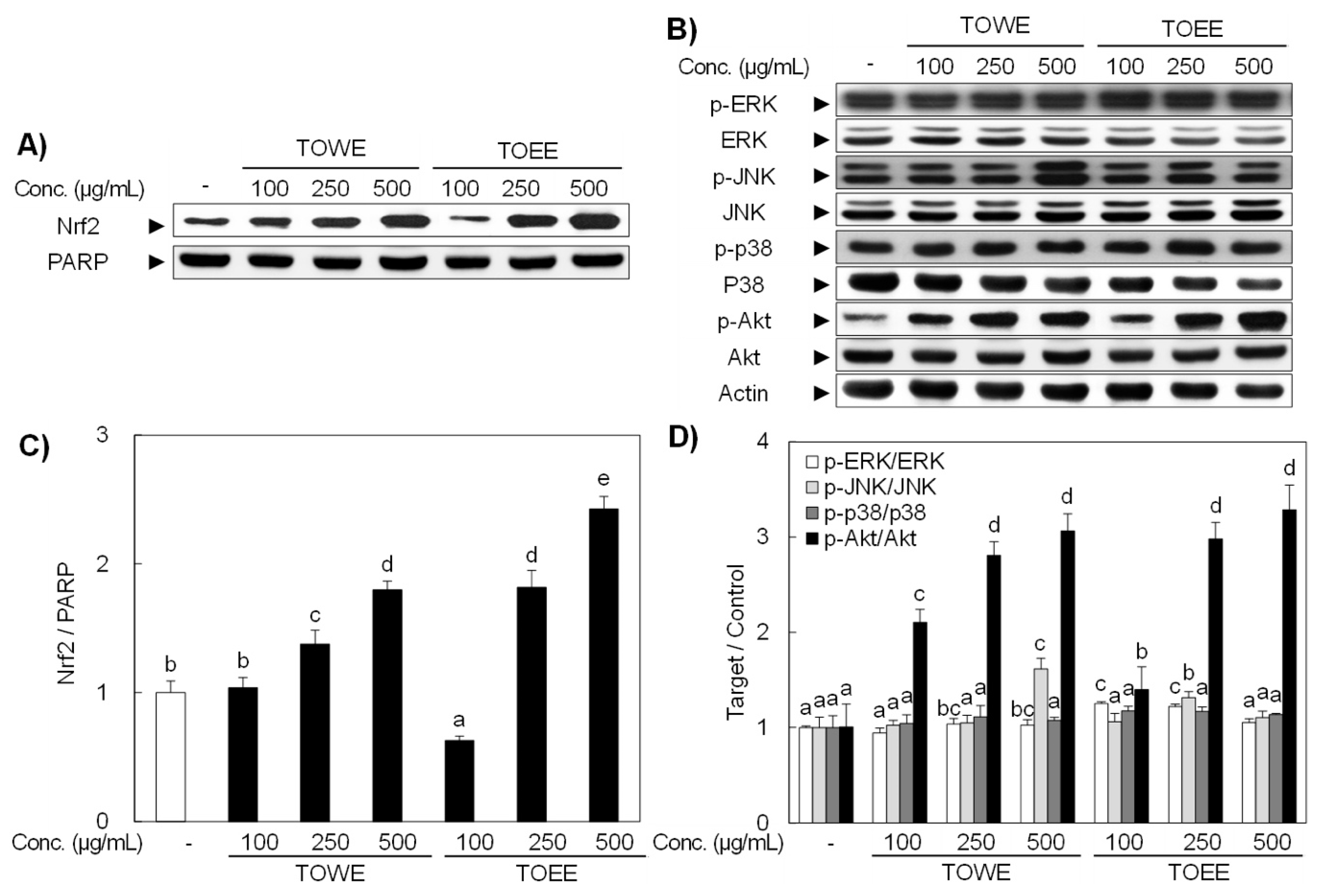 Biomolecules 09 00288 g003