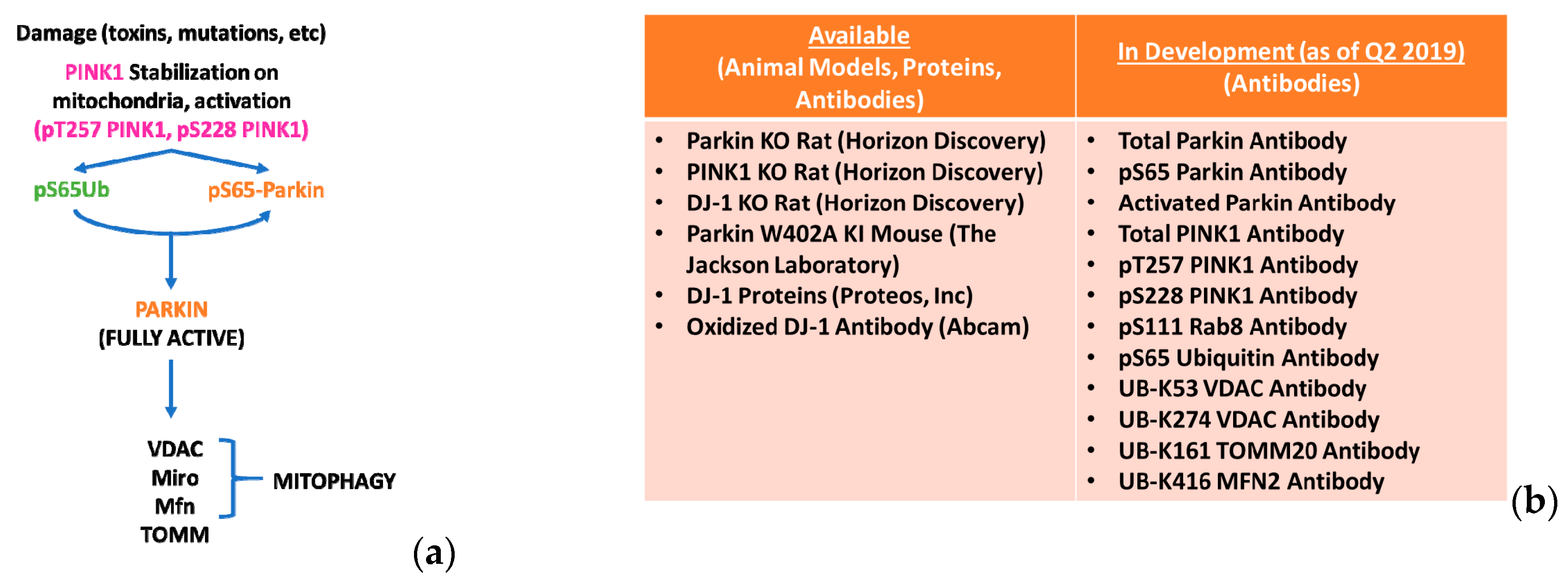 Biomolecules 09 00296 g001