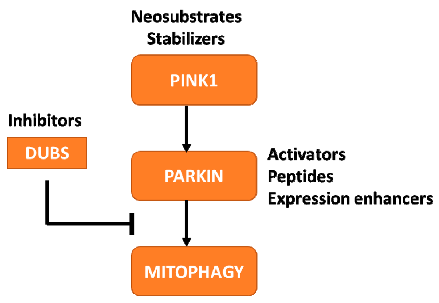 Biomolecules 09 00296 g002