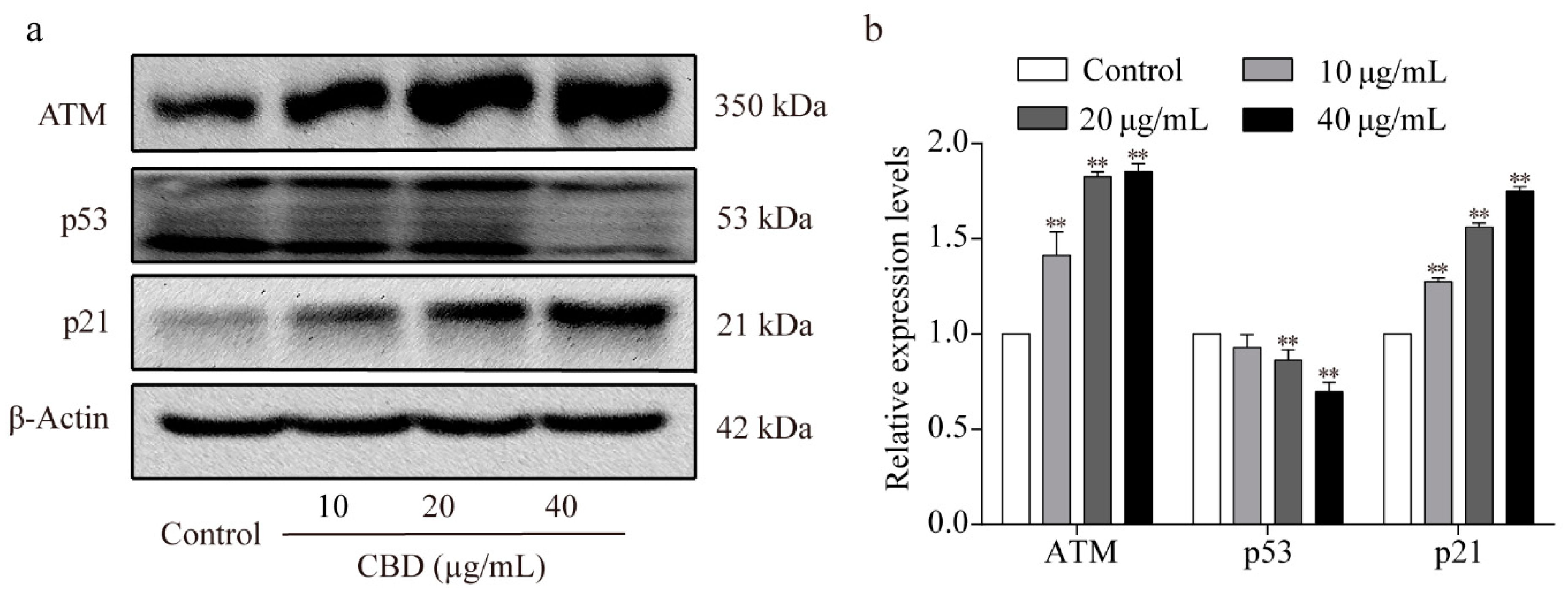 Biomolecules 09 00302 g003