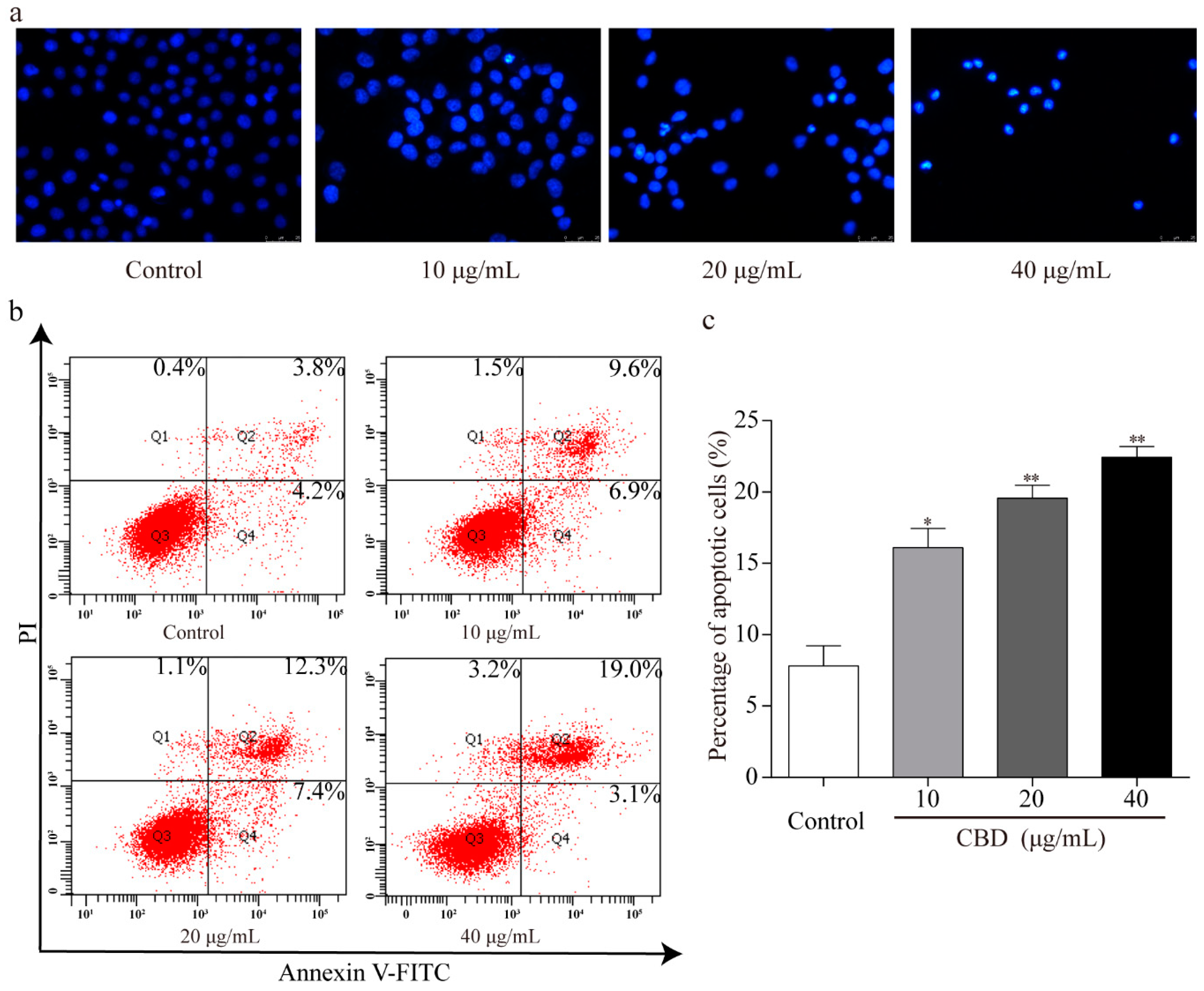 Biomolecules 09 00302 g004