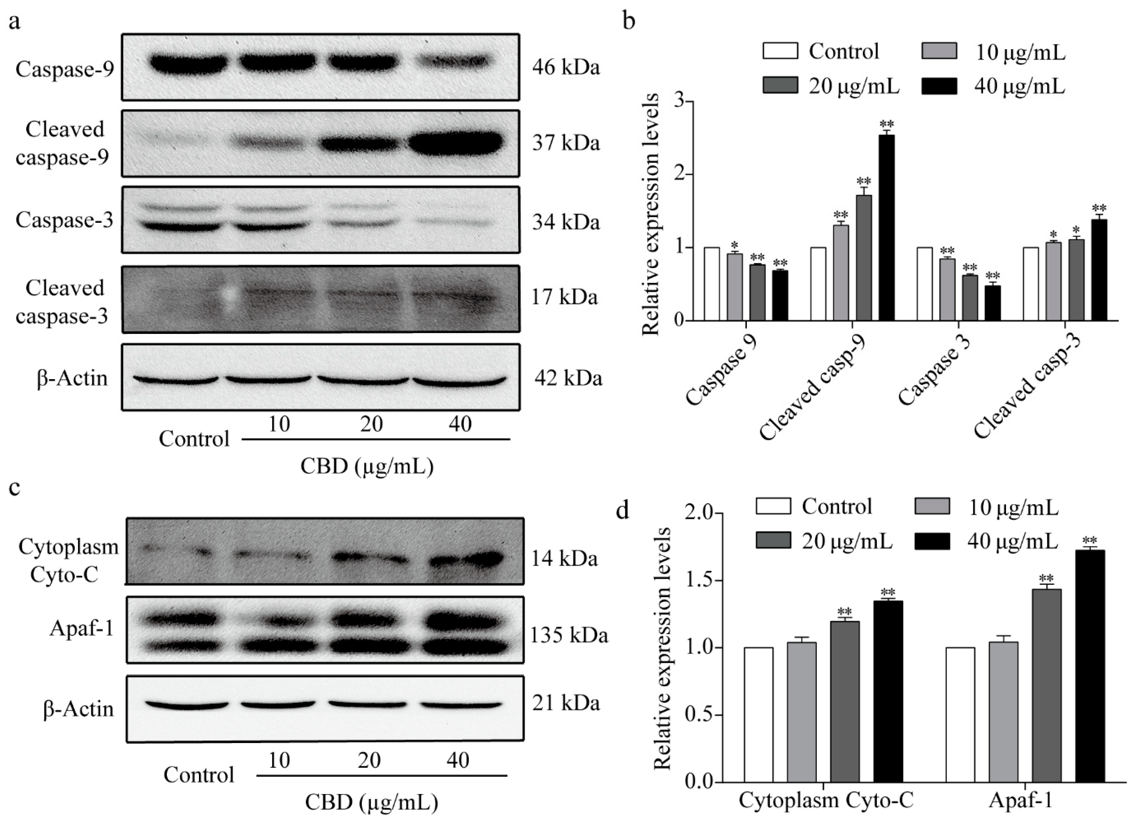Biomolecules 09 00302 g005