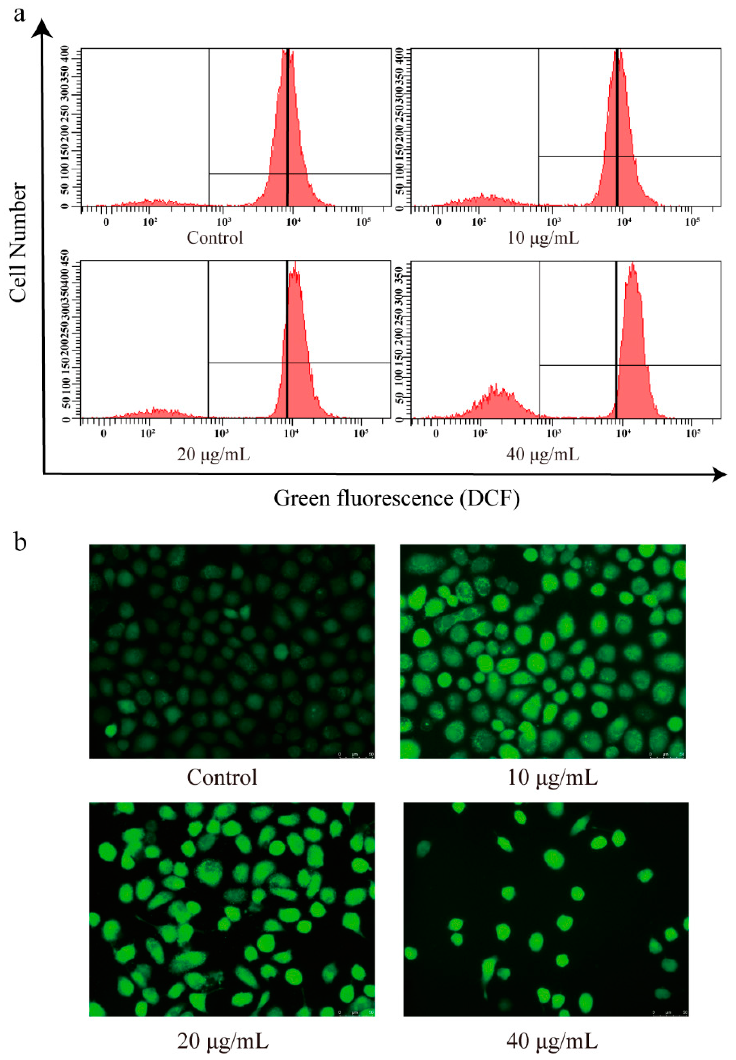 Biomolecules 09 00302 g007