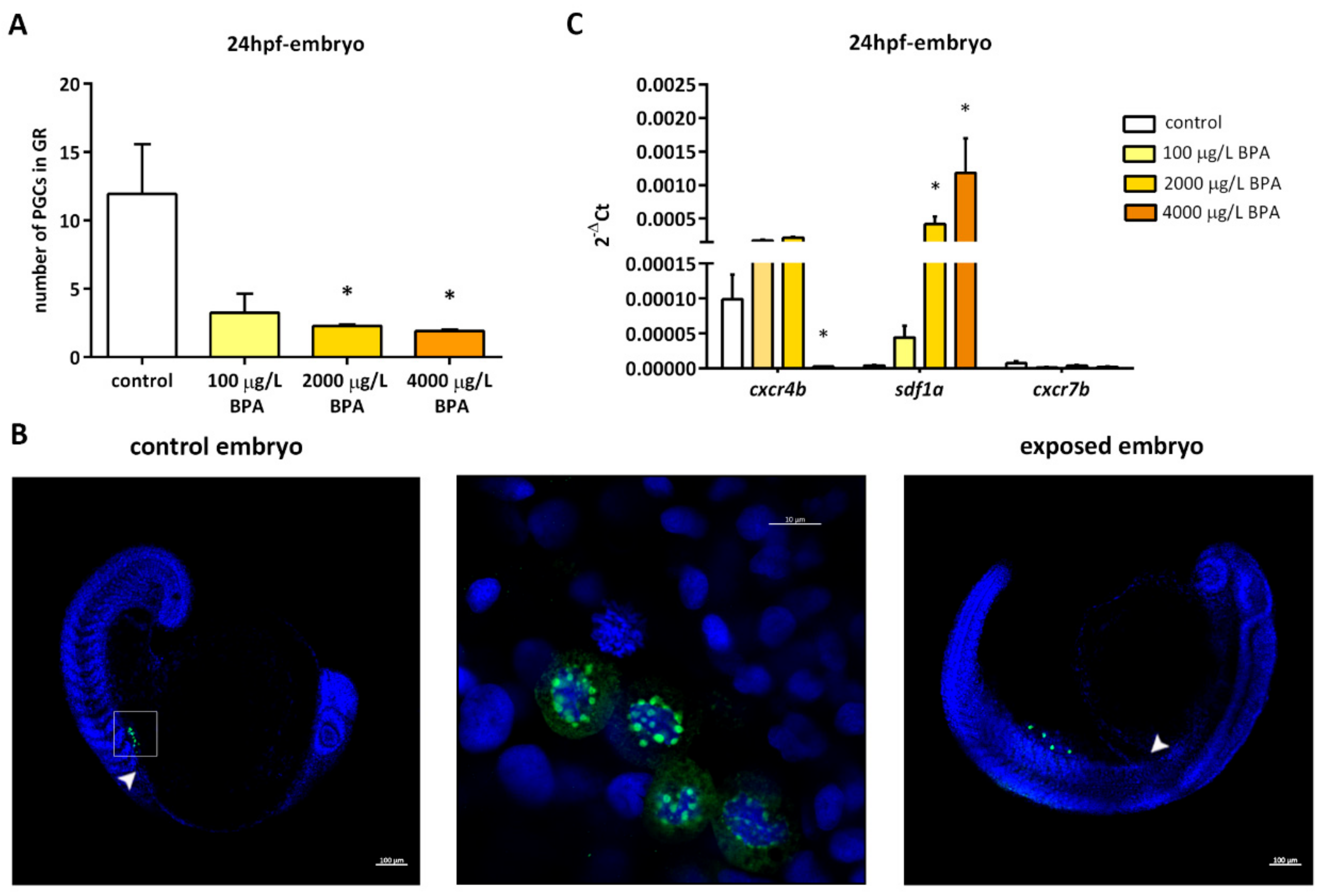 Biomolecules 09 00307 g001