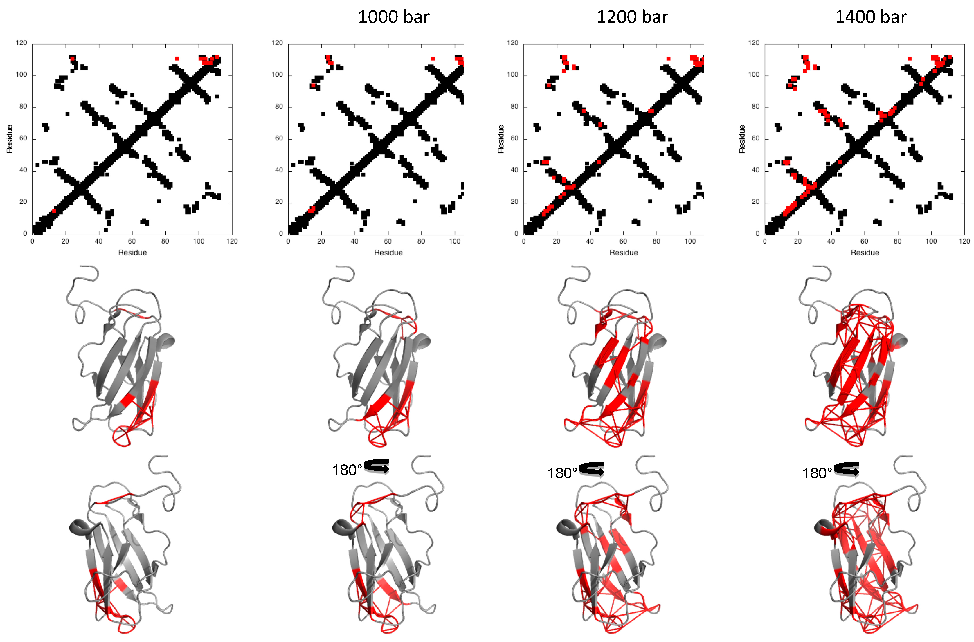 Biomolecules 09 00309 g006