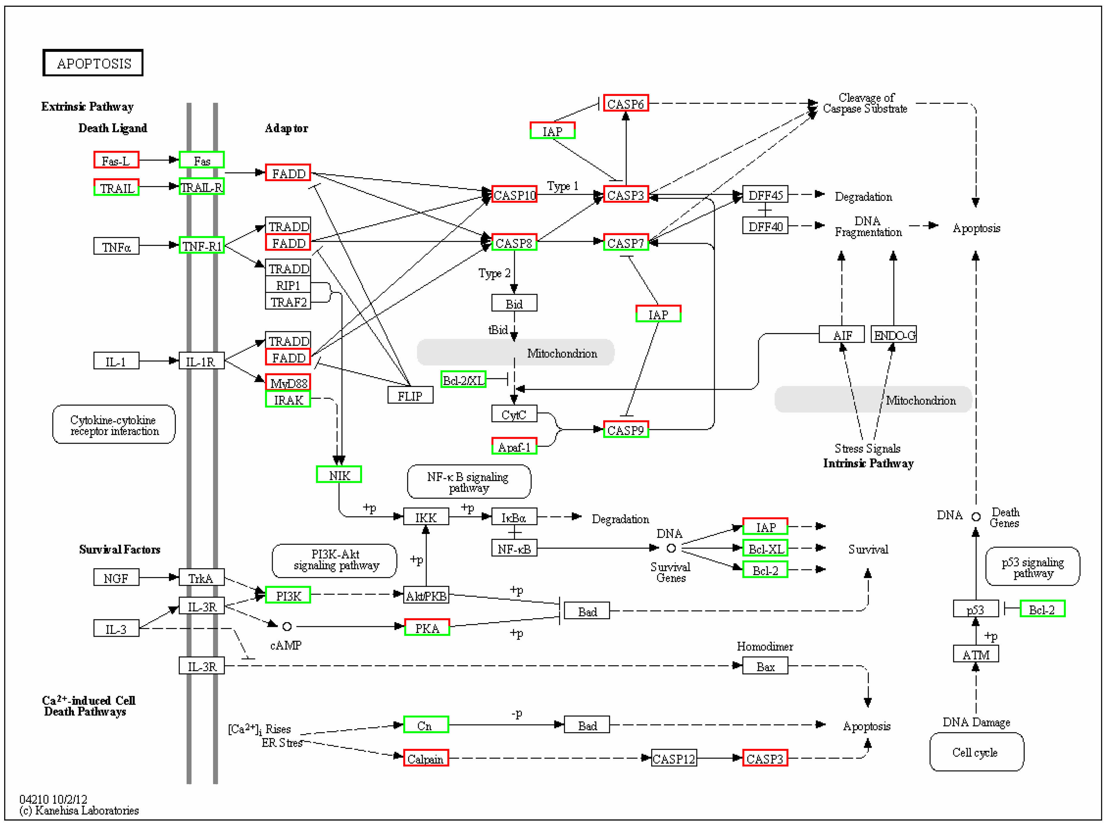 Biomolecules 09 00310 g008