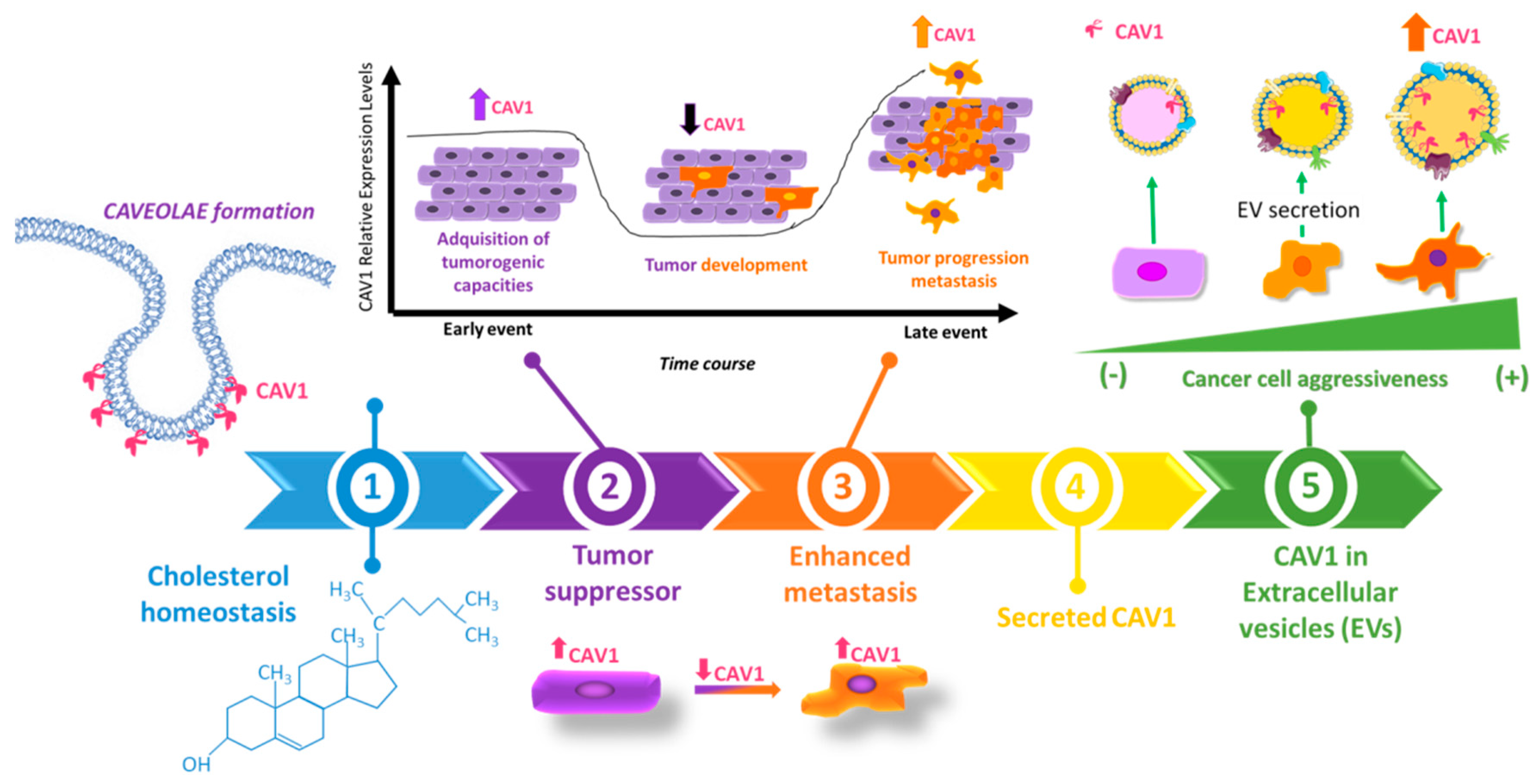 Biomolecules 09 00314 g001