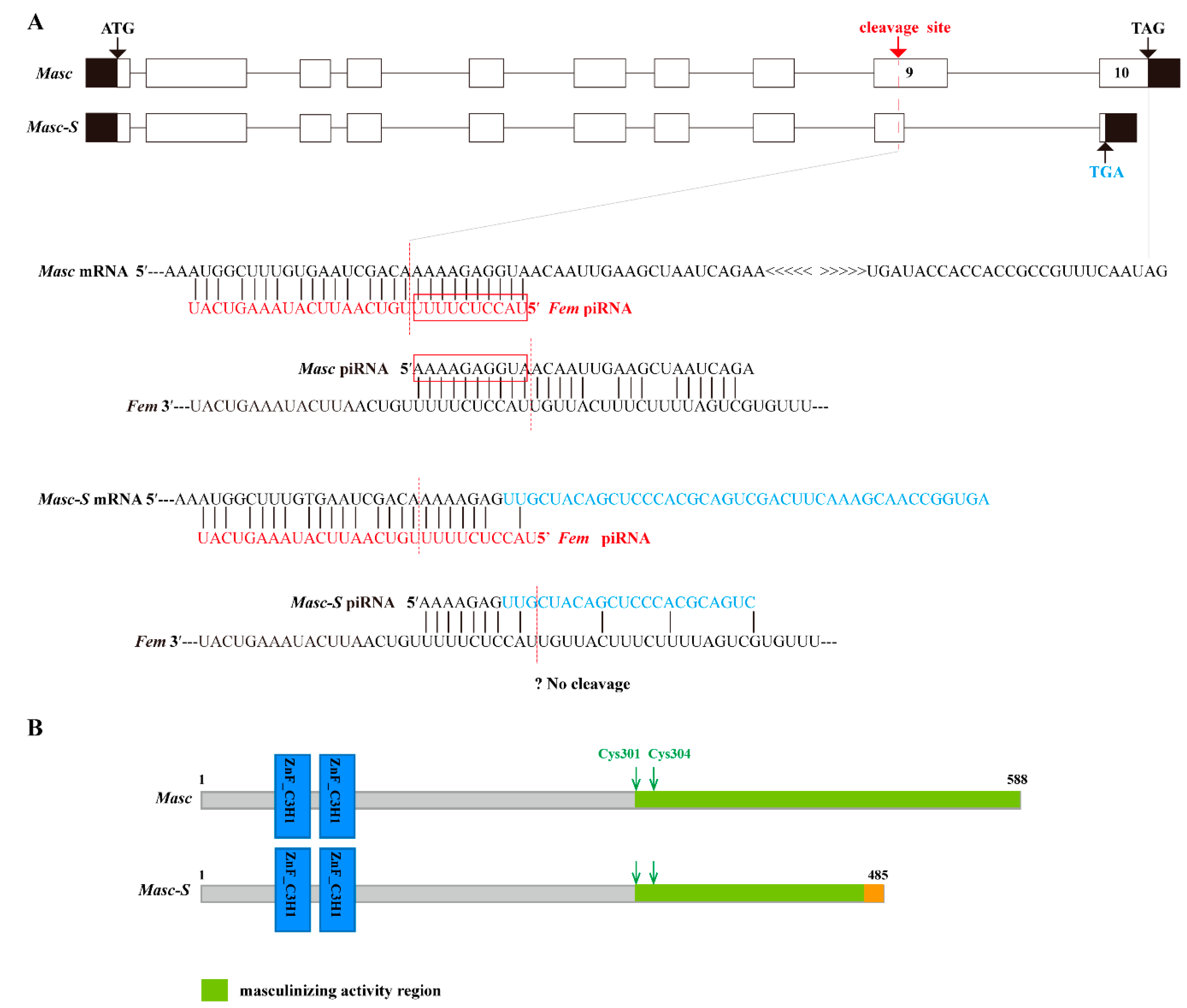 Biomolecules 09 00318 g001