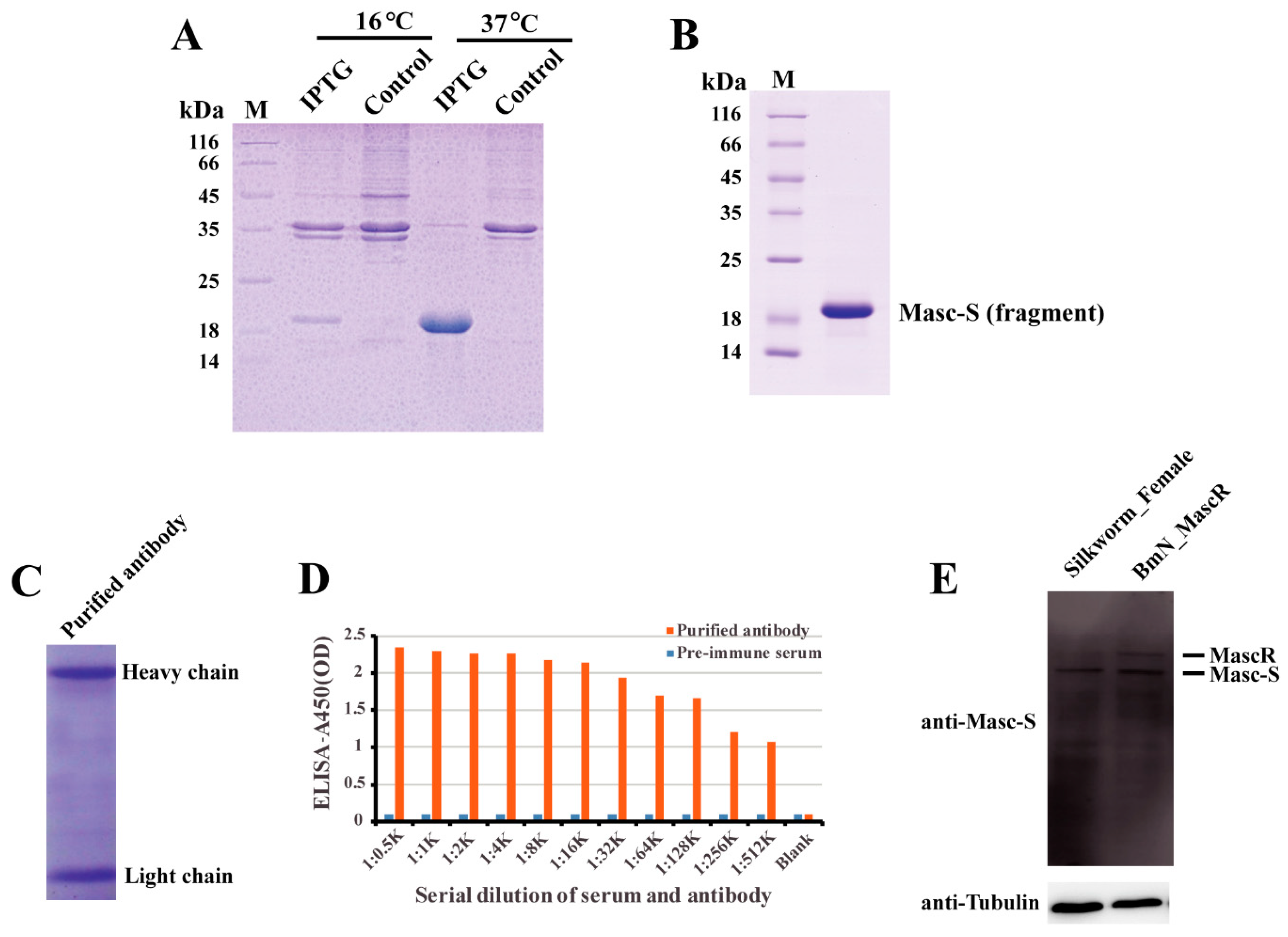 Biomolecules 09 00318 g003