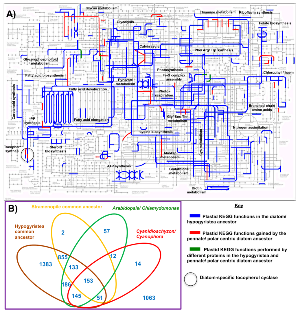 Biomolecules 09 00322 g003