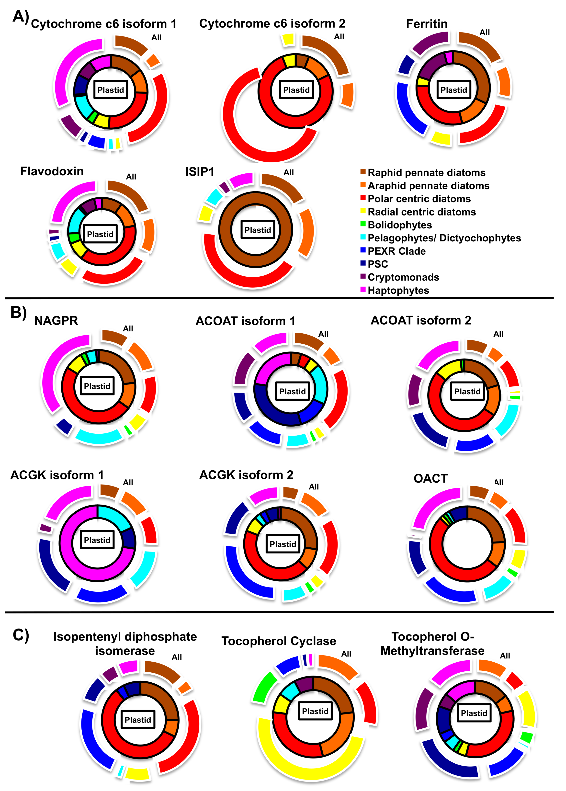 Biomolecules 09 00322 g004