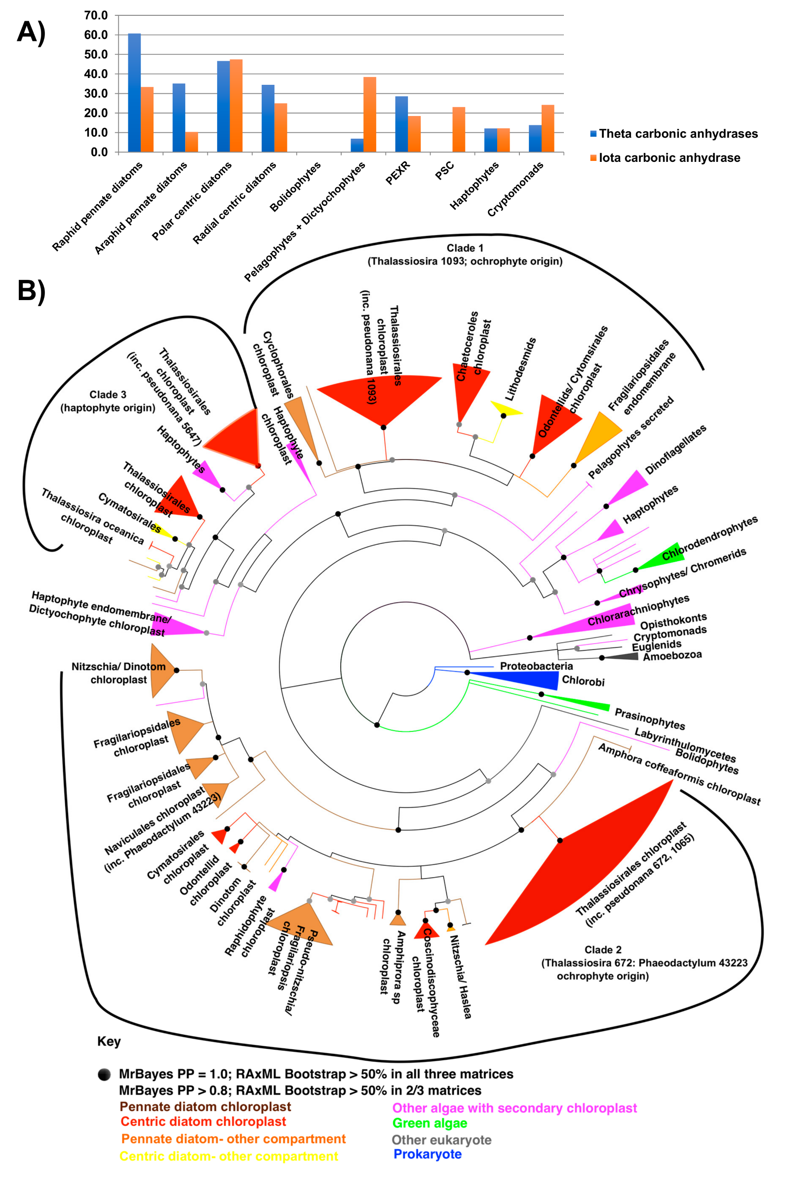 Biomolecules 09 00322 g005