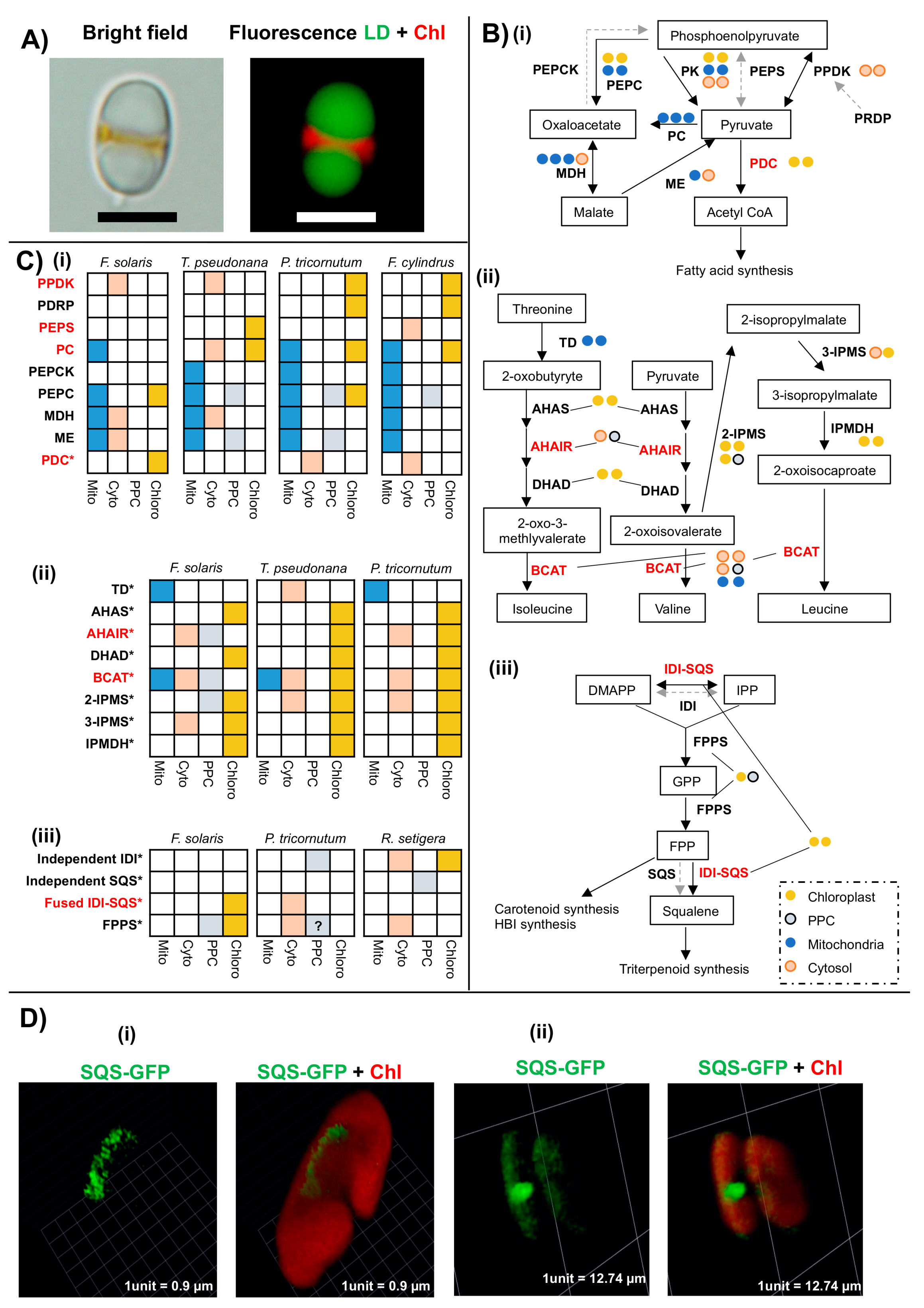 Biomolecules 09 00322 g006