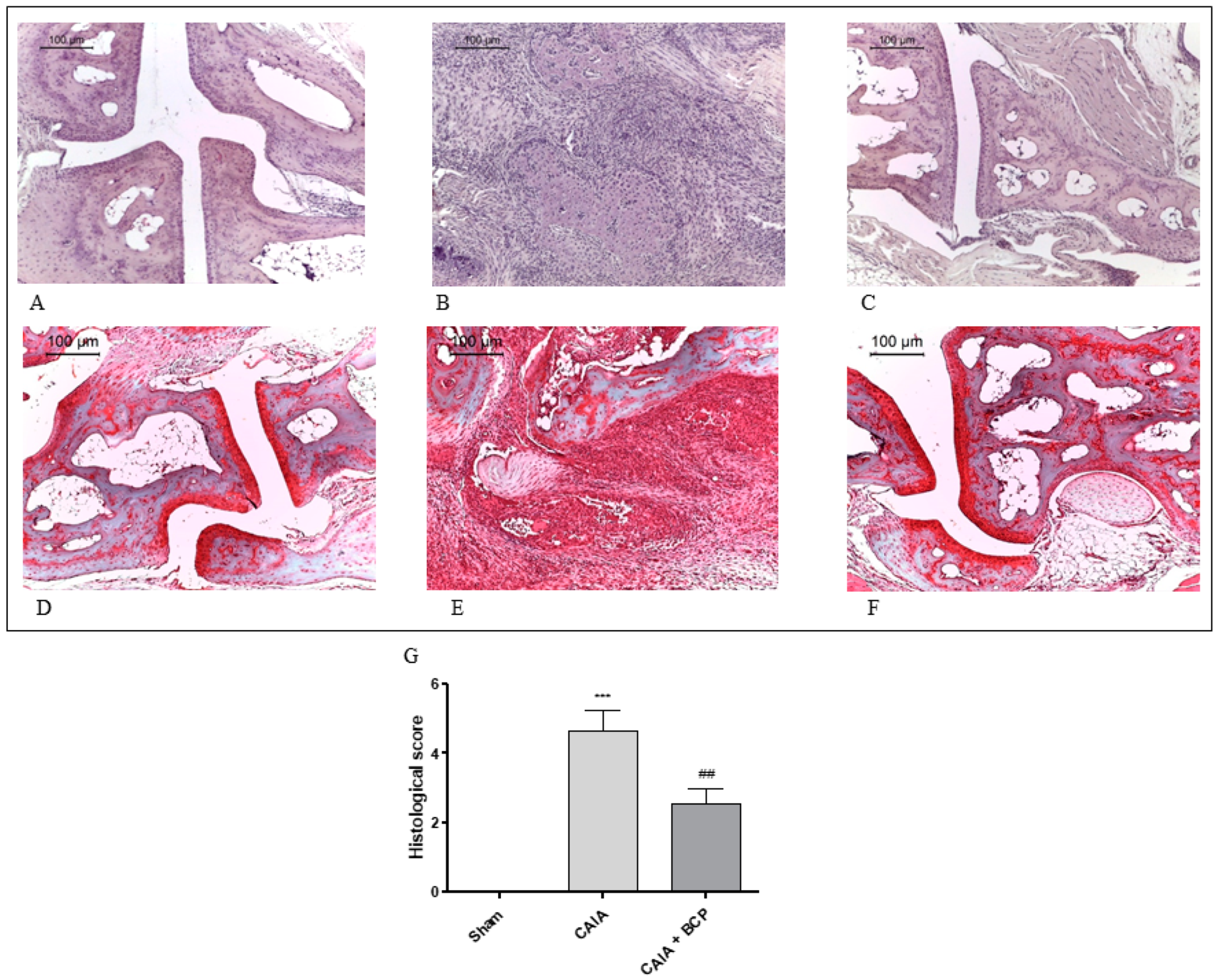 Biomolecules 09 00326 g002