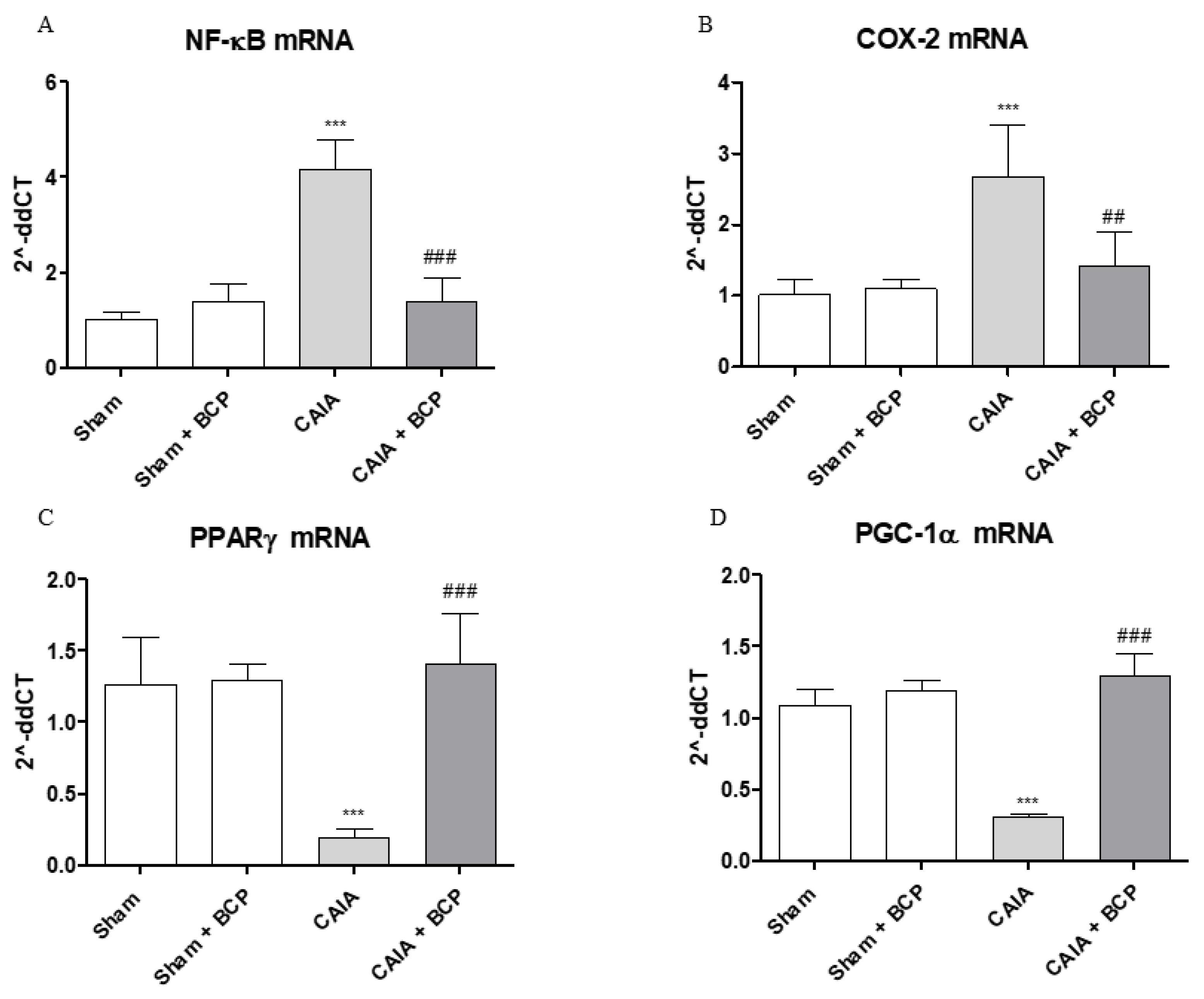 Biomolecules 09 00326 g006